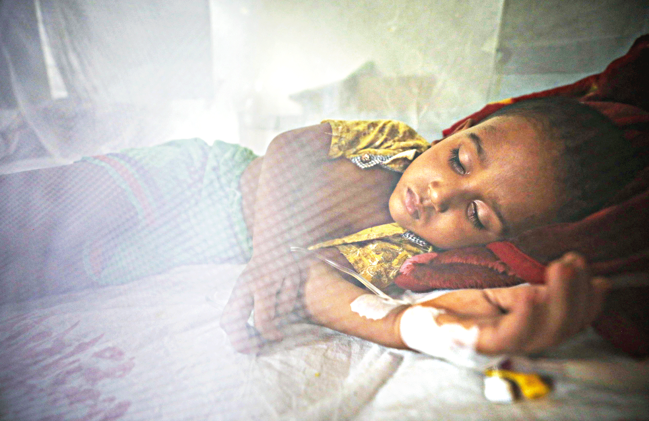 dengue-2.gif