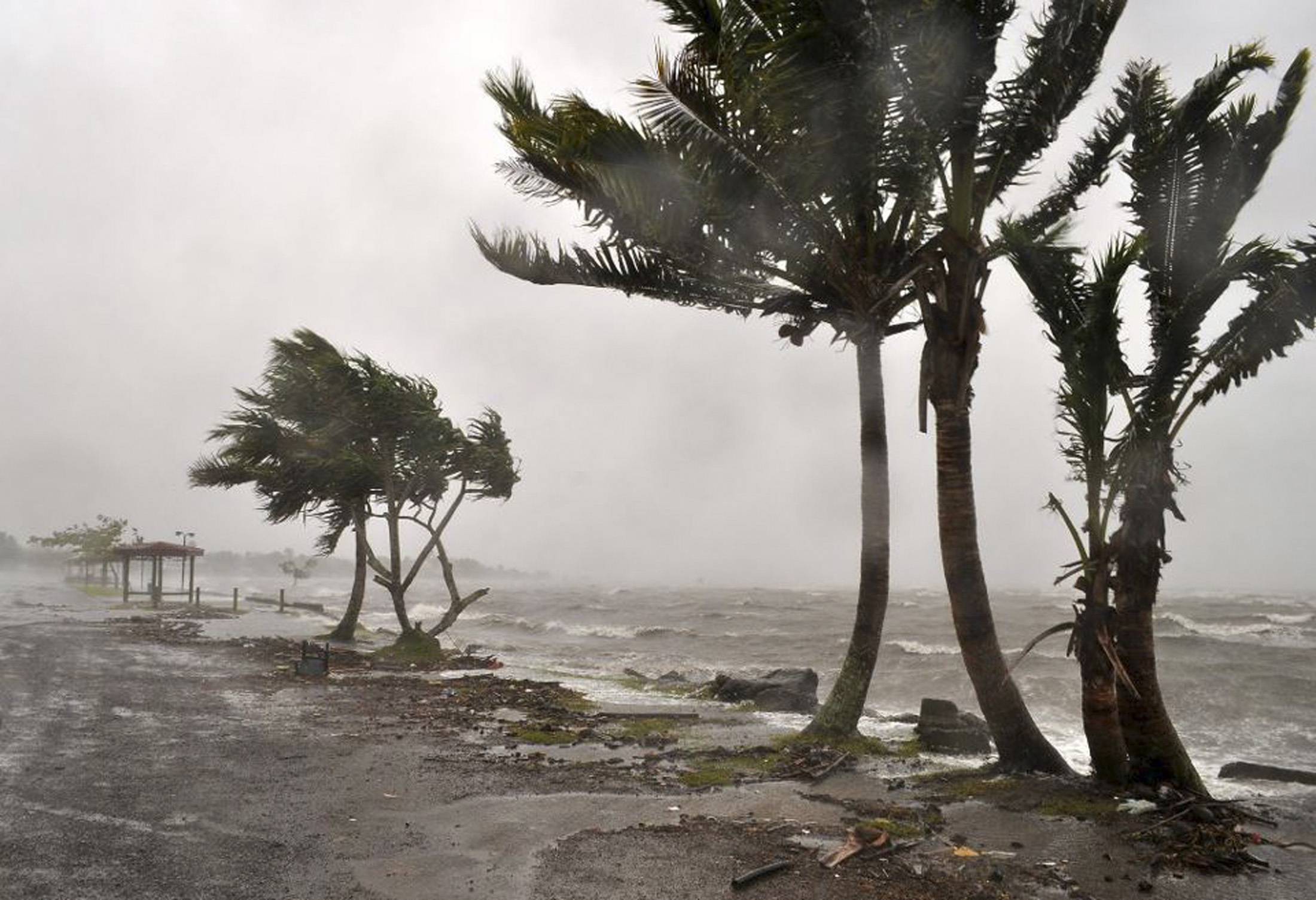 What Asia can do to fight climate change 