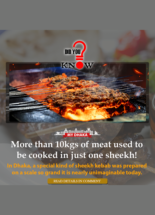 did_you_know-sheekh_kebab-tdsi.png