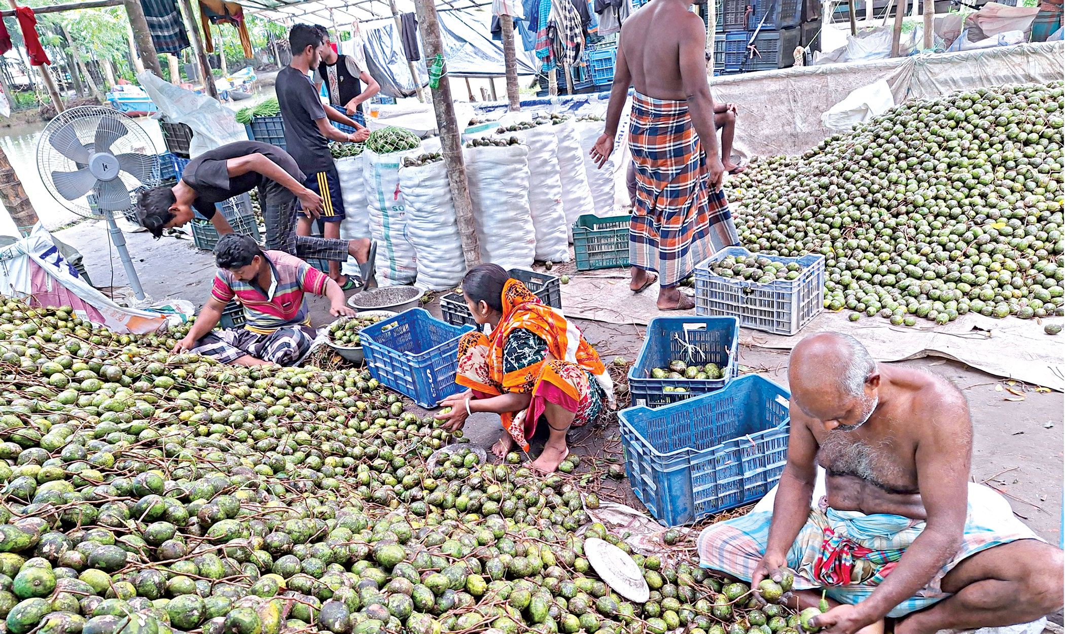 hog-plum-farmers-2.jpg