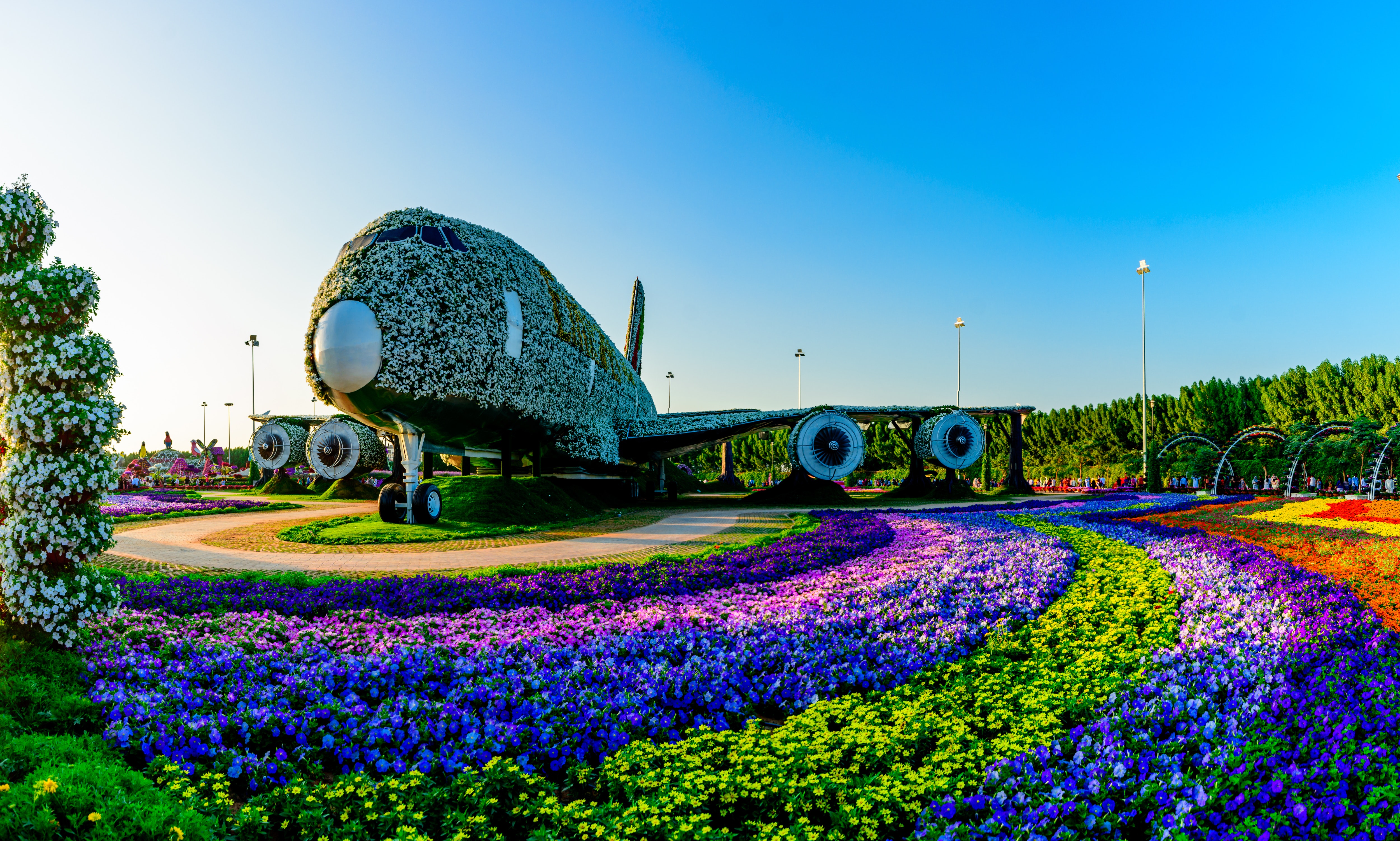 Dubai Miracle Garden, Dubai