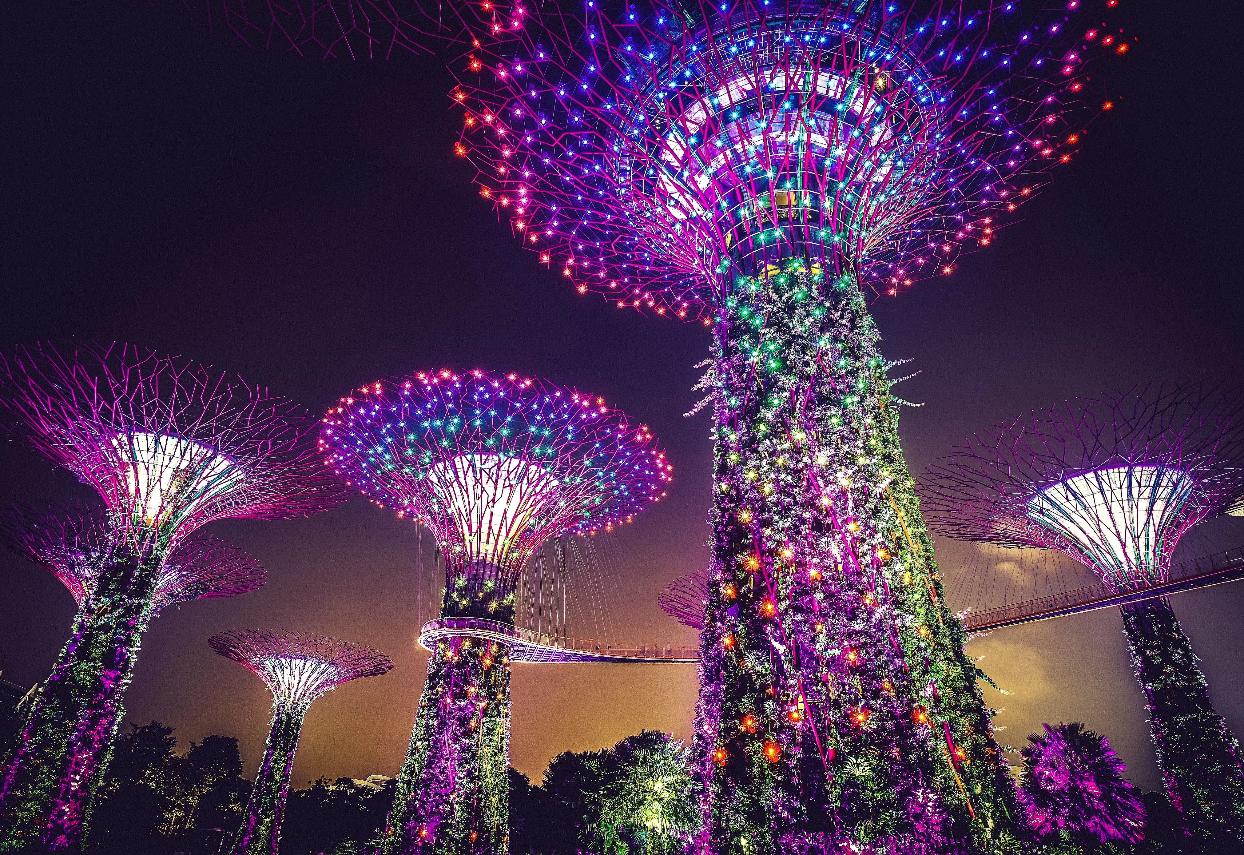 Gardens by the Bay