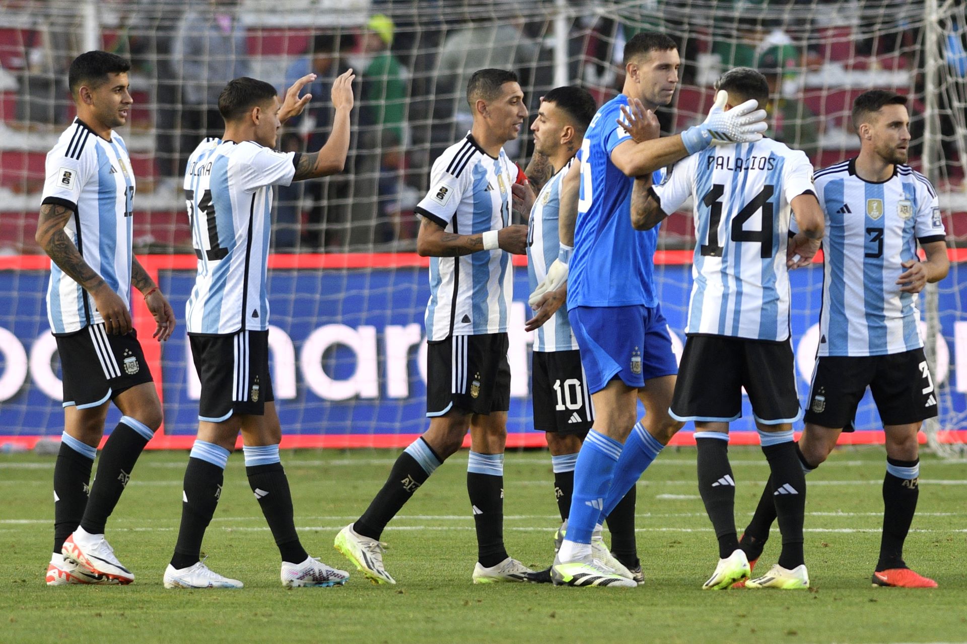 argentina2.jpg
