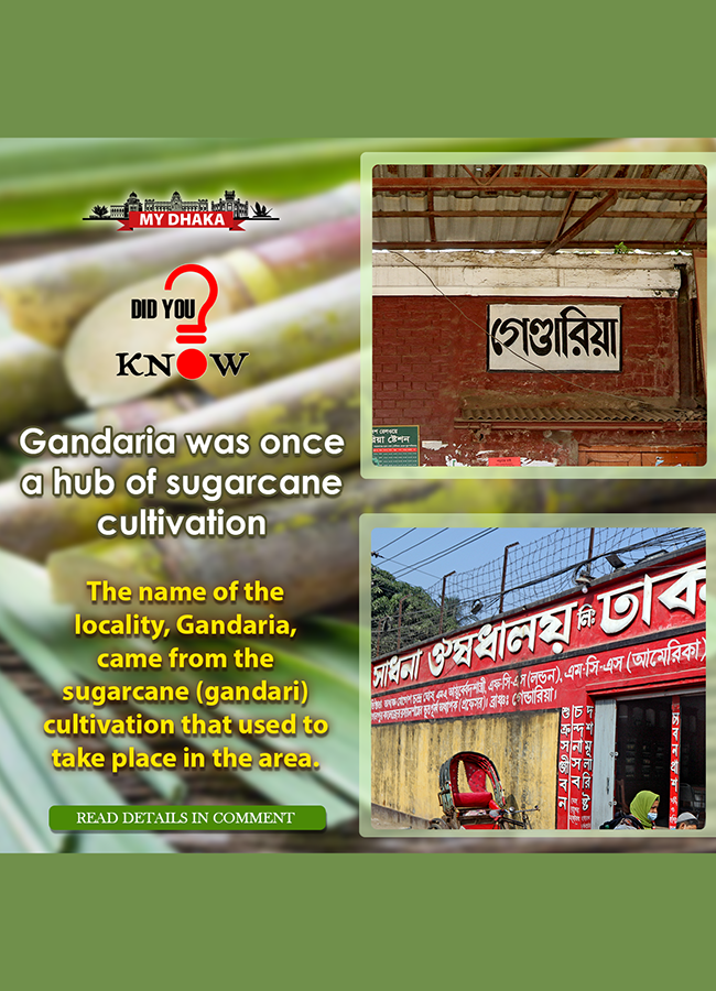 did_you_know-gandaria-thursday_i.png
