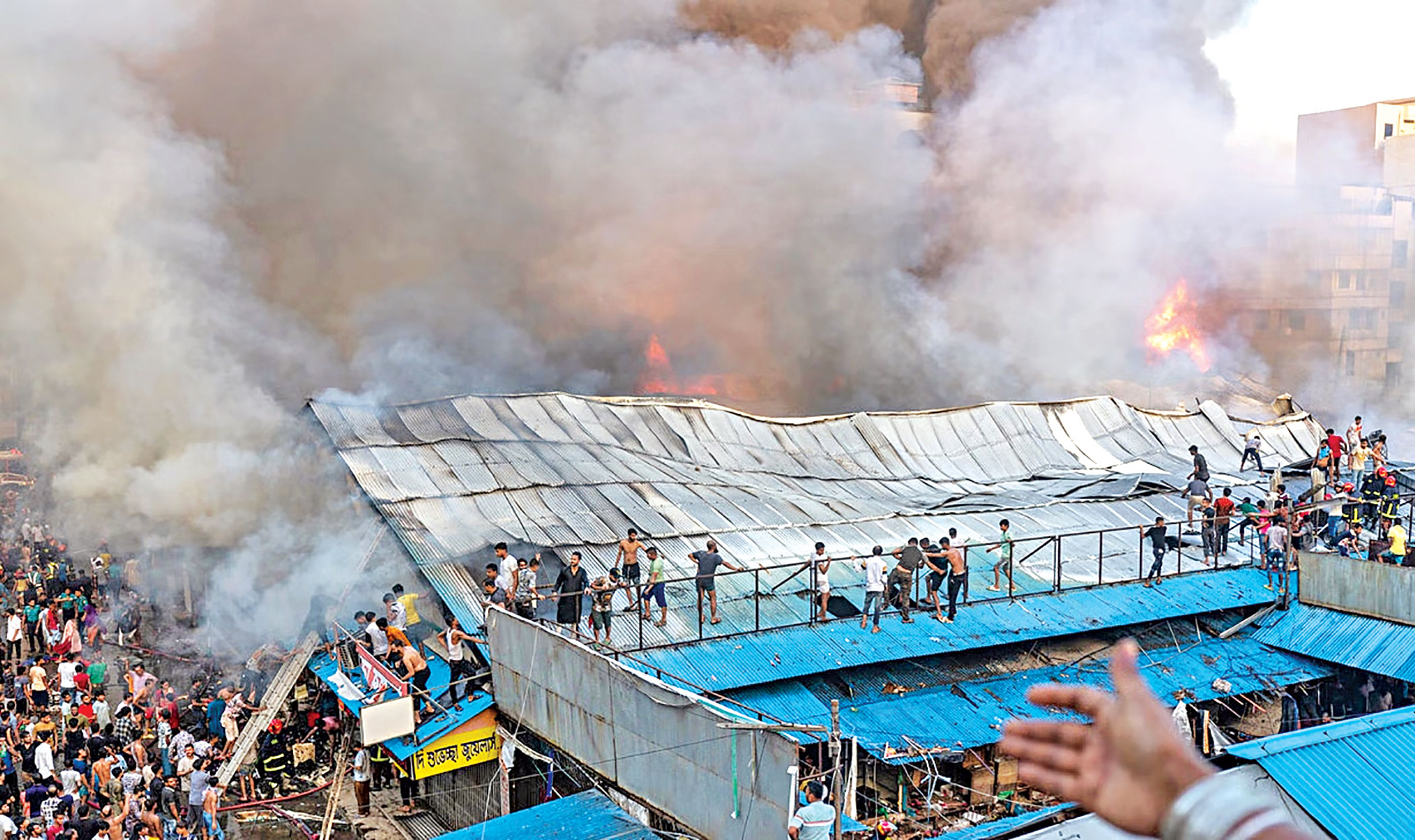 mohammadpur-krishi-market-2.jpg