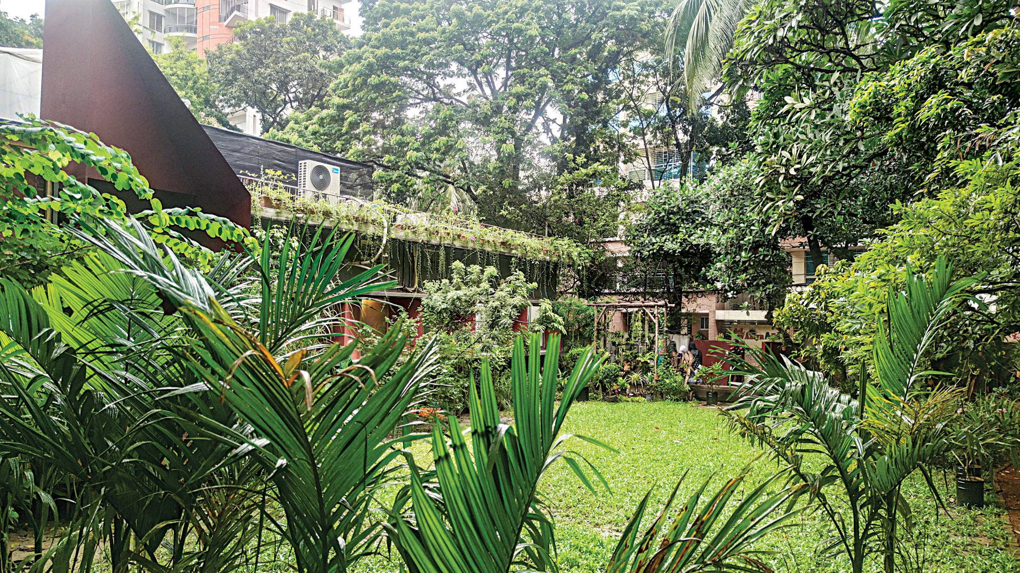 my-dhaka1.jpg