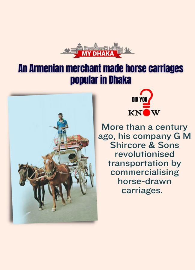 did_you_know_horse_carriage_tds.png