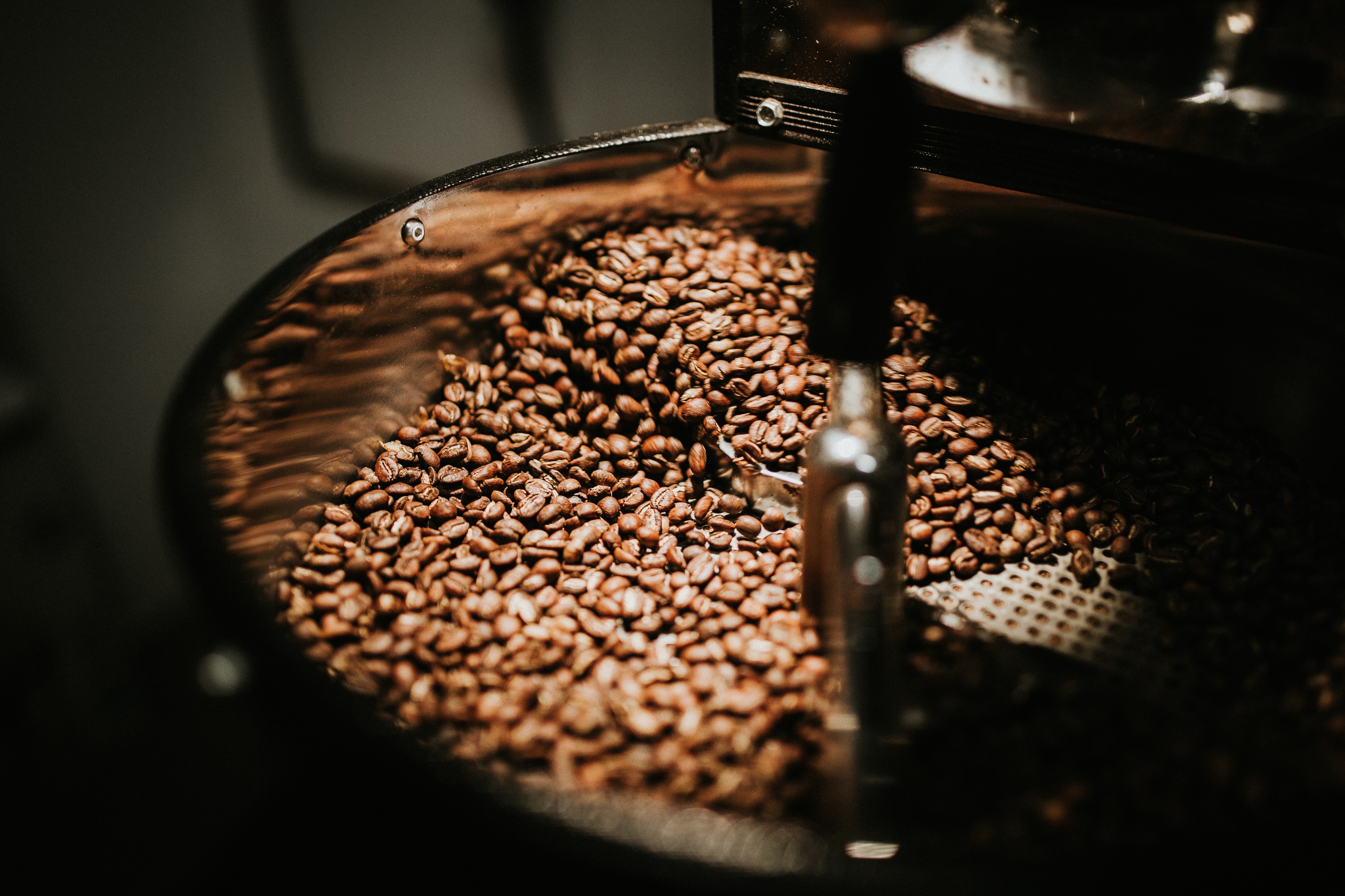 Crafting coffee culture: How I found my calling as a coffee roaster