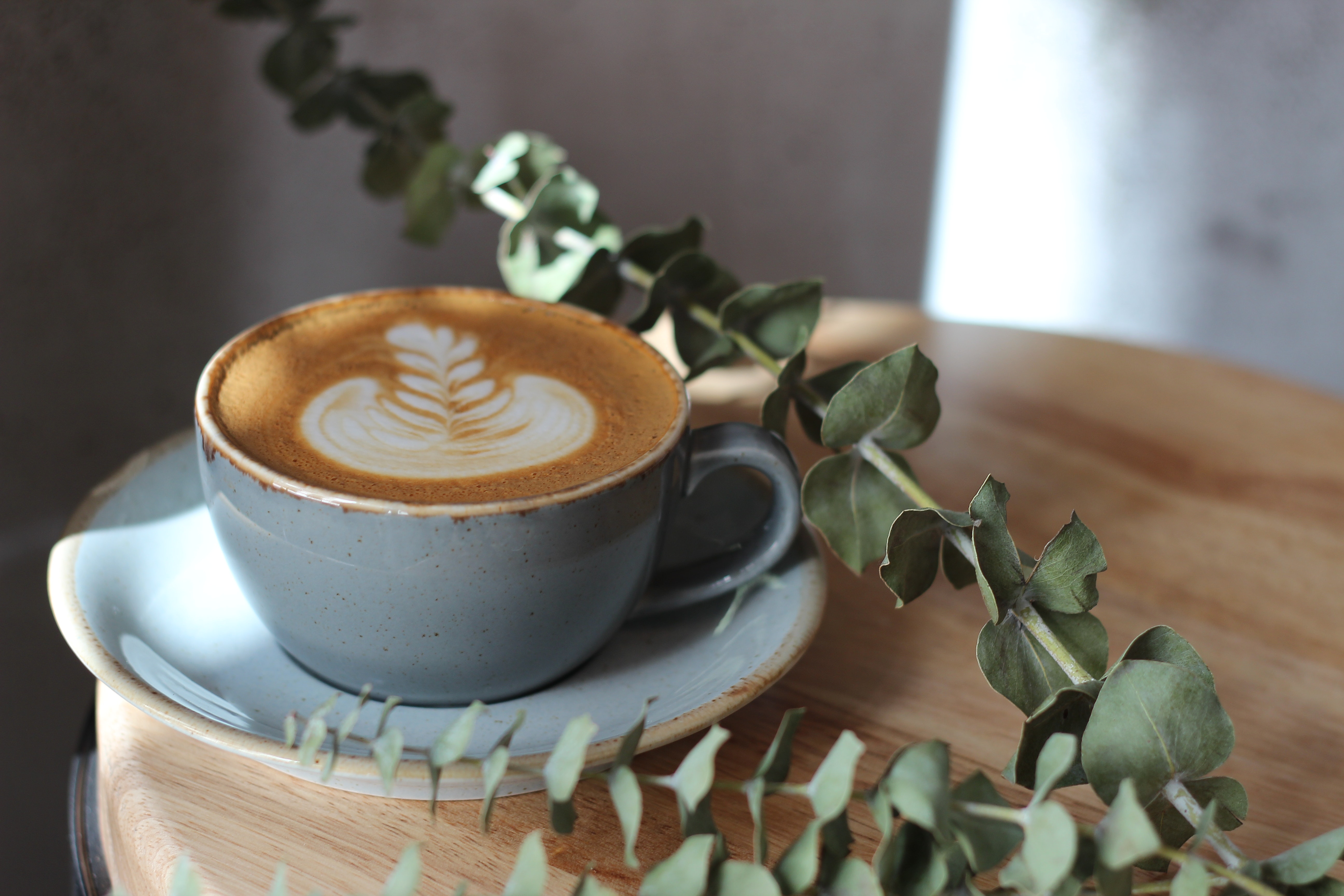 6 most expensive coffees you wish you could afford!