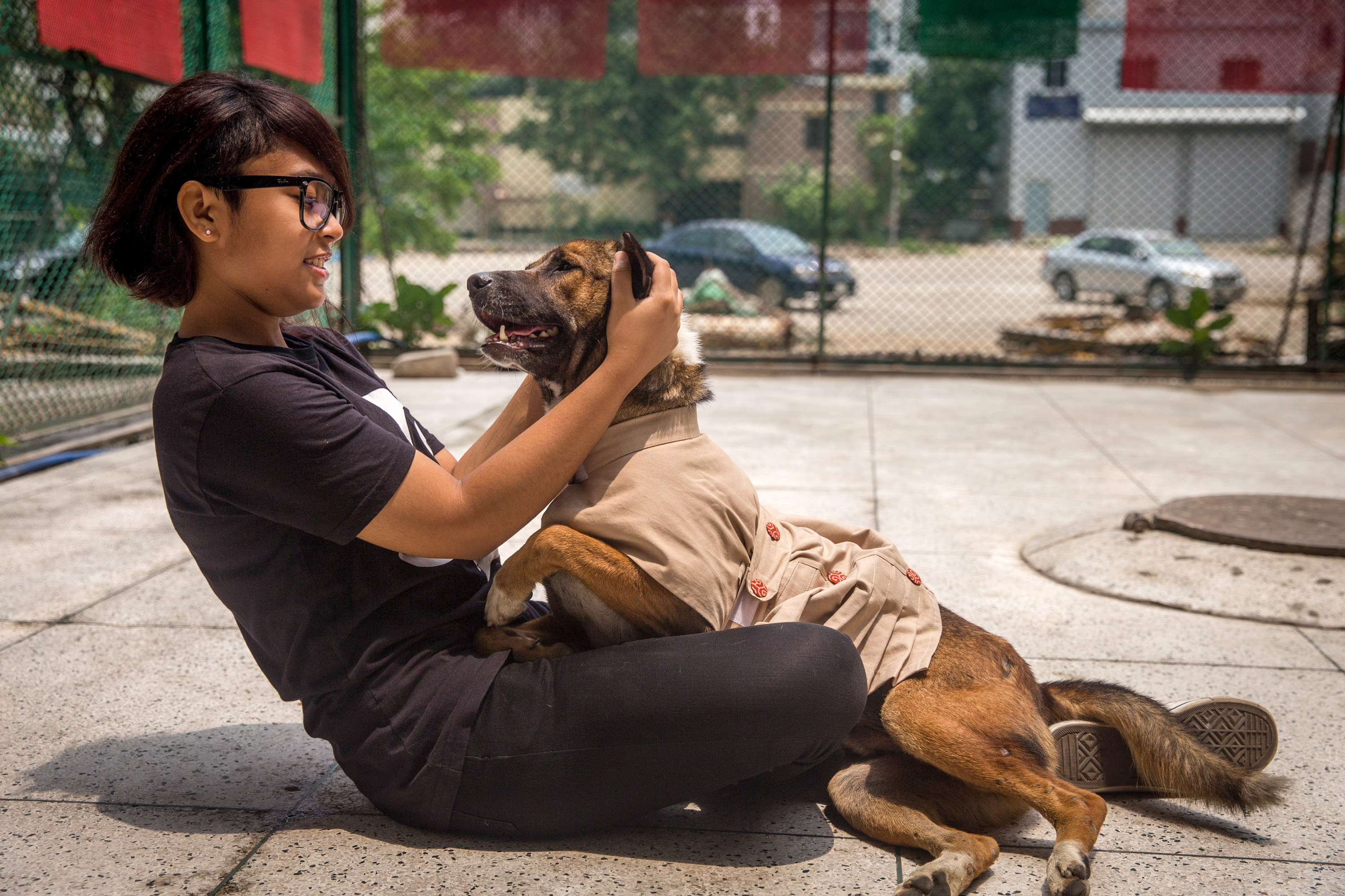 Problems of owning a dog in Dhaka