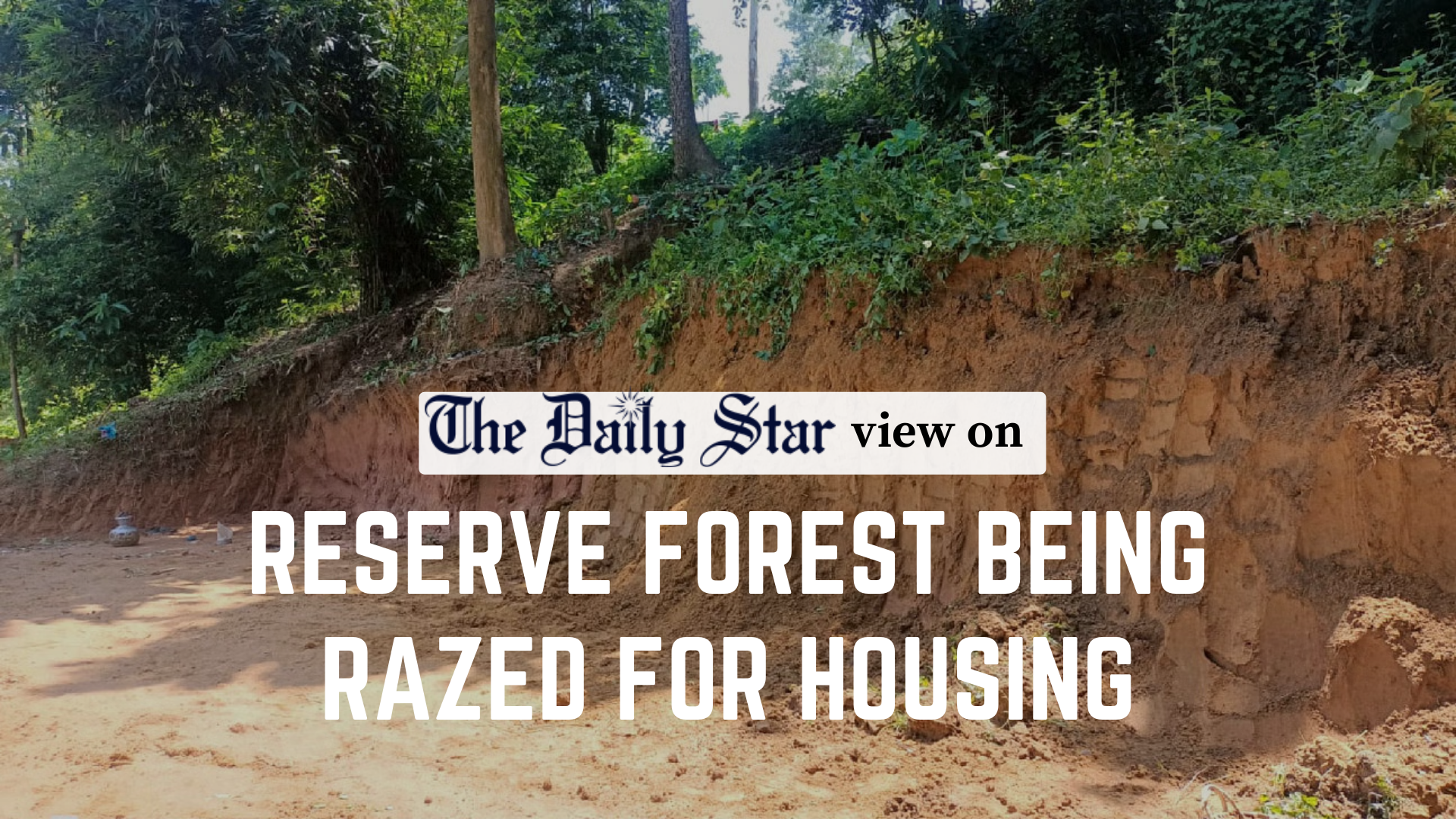 Stop ravaging our reserve forests