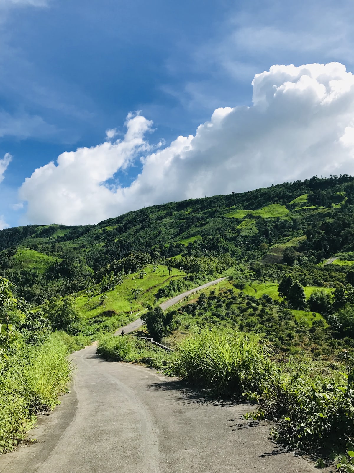 Escaping Dhaka's chaos: A tranquil road trip to Bandarban