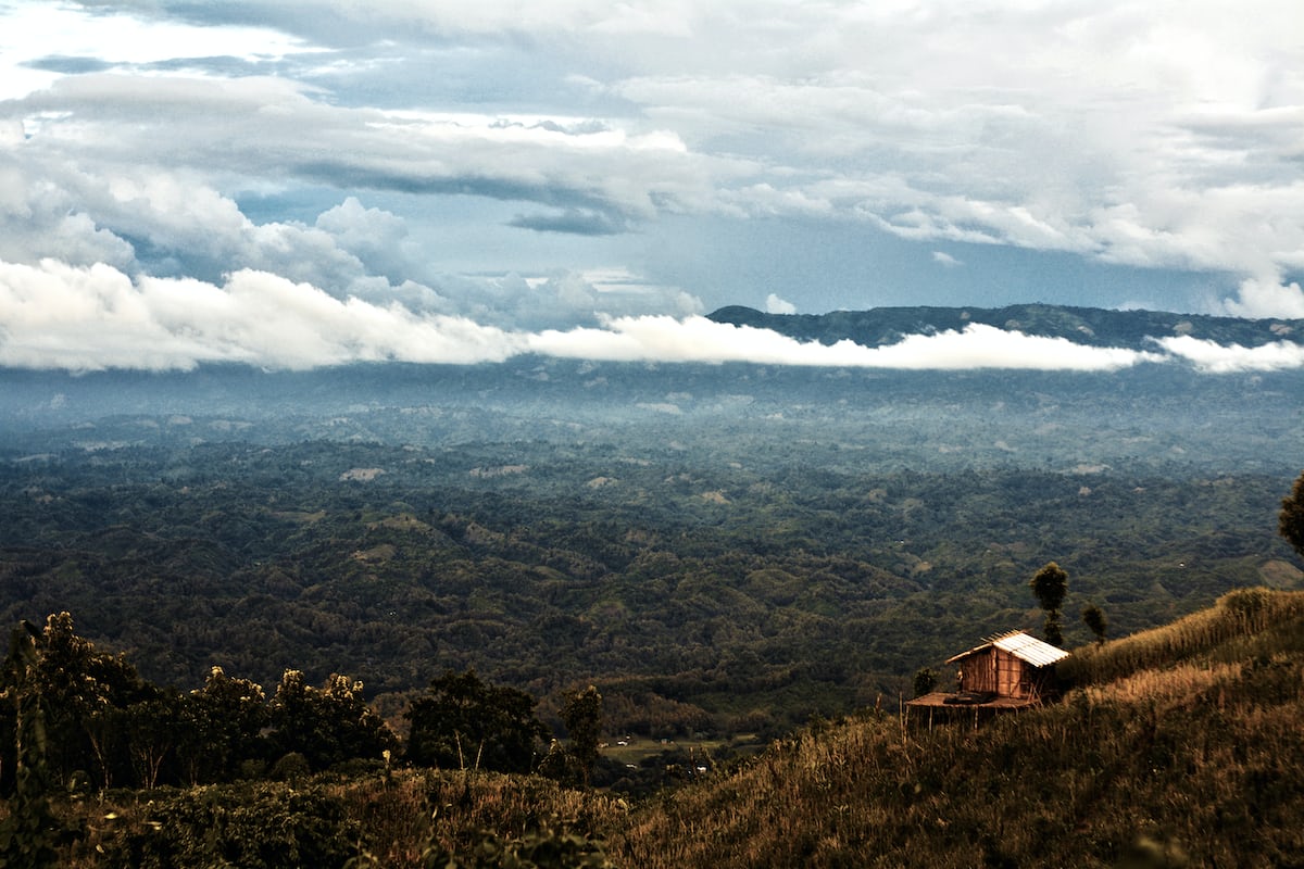 Escaping Dhaka's chaos: A tranquil road trip to Bandarban