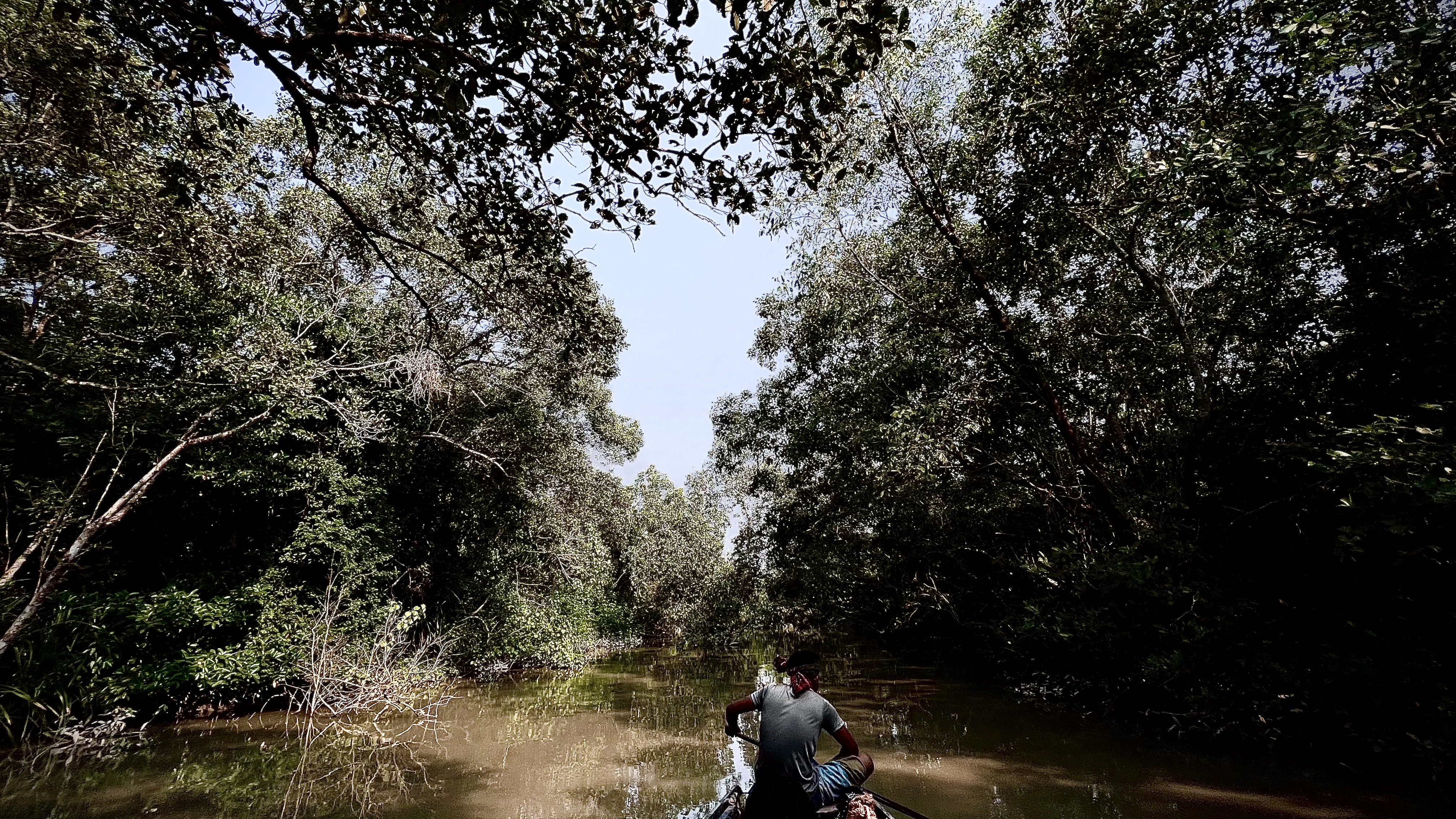 Road trip to Sundarbans: A magical escape into nature's embrace