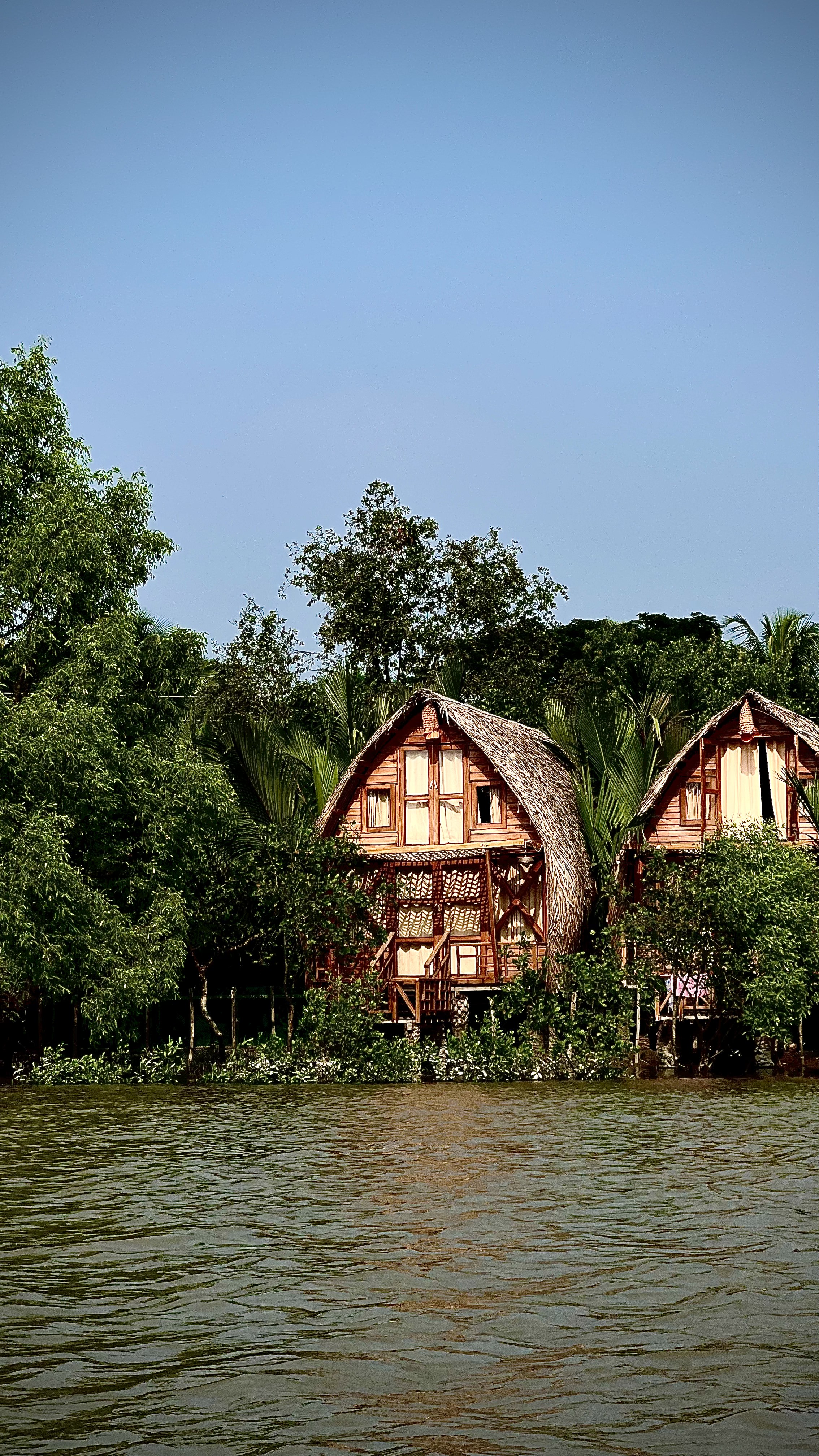 Road trip to Sundarbans: A magical escape into nature's embrace