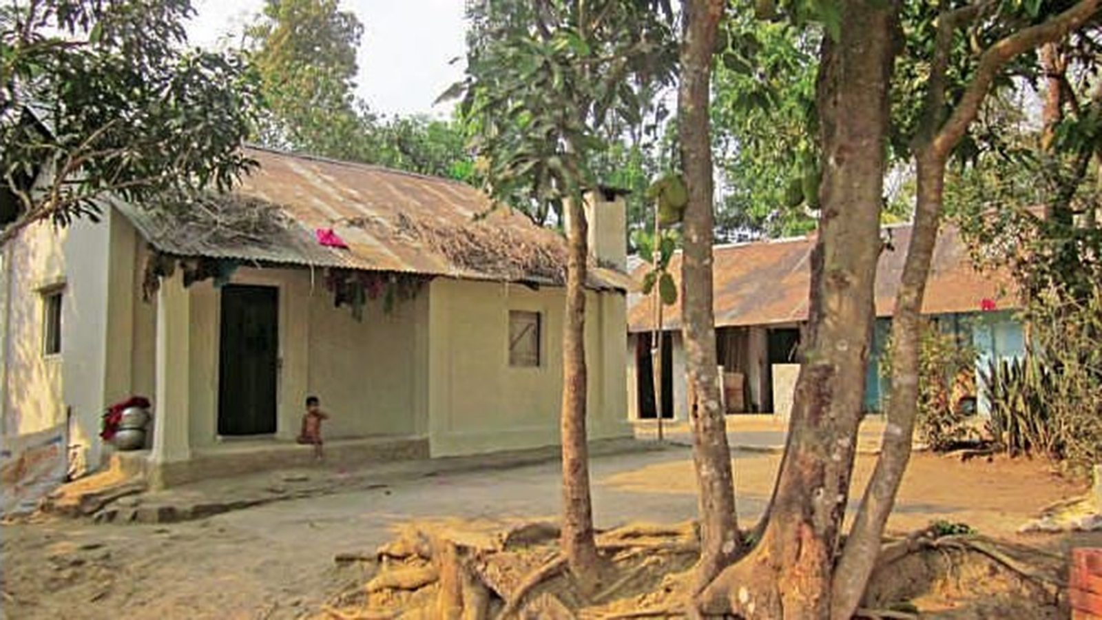 photo_2.jpg