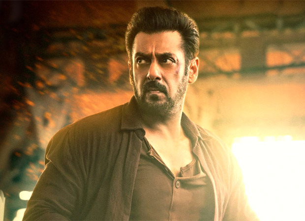 tiger-3-salman-khan-ensures-the-action-scenes-look-raw-and-real-in-the-upcoming-entertainer.jpg