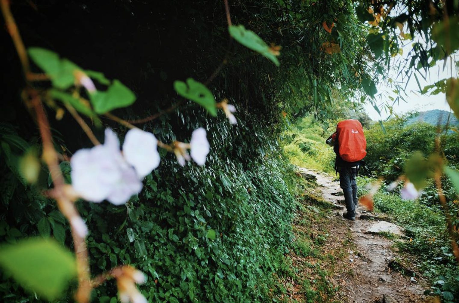 Prepare for a winter adventure! 5 countries to travel for under Tk 1 Lac
