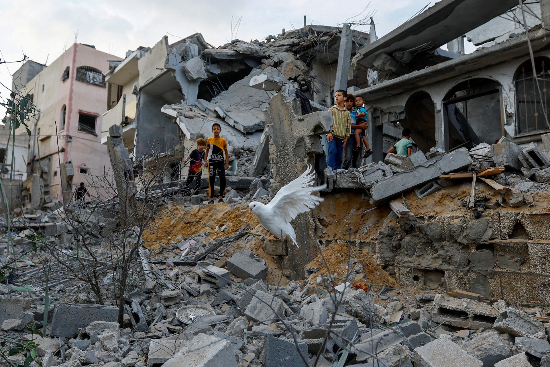 Column by Mahfuz Anam: Israel’s ‘right to self-defence’ and the Palestinians’ fate to be slaughtered