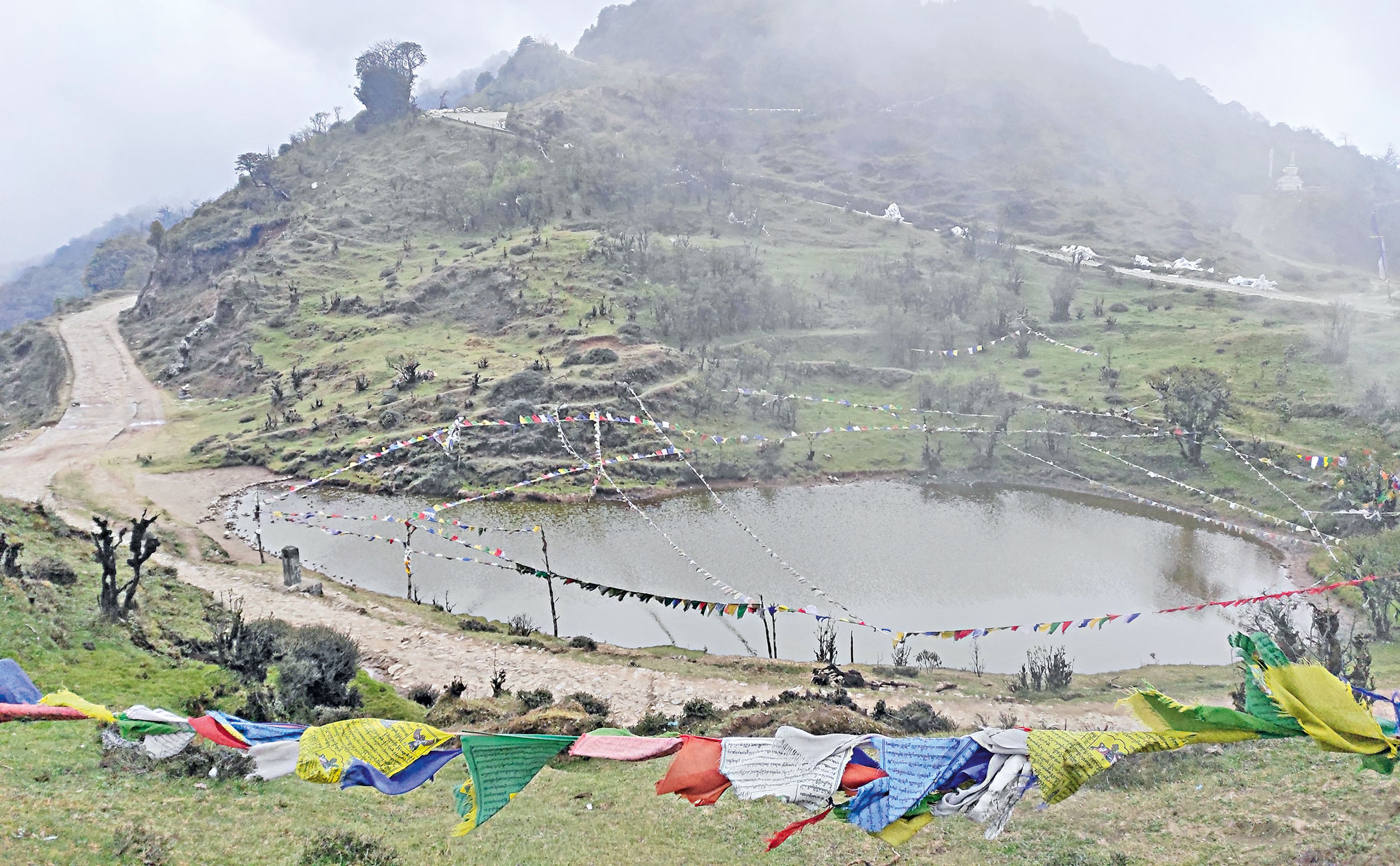 sandakphu-5.jpg