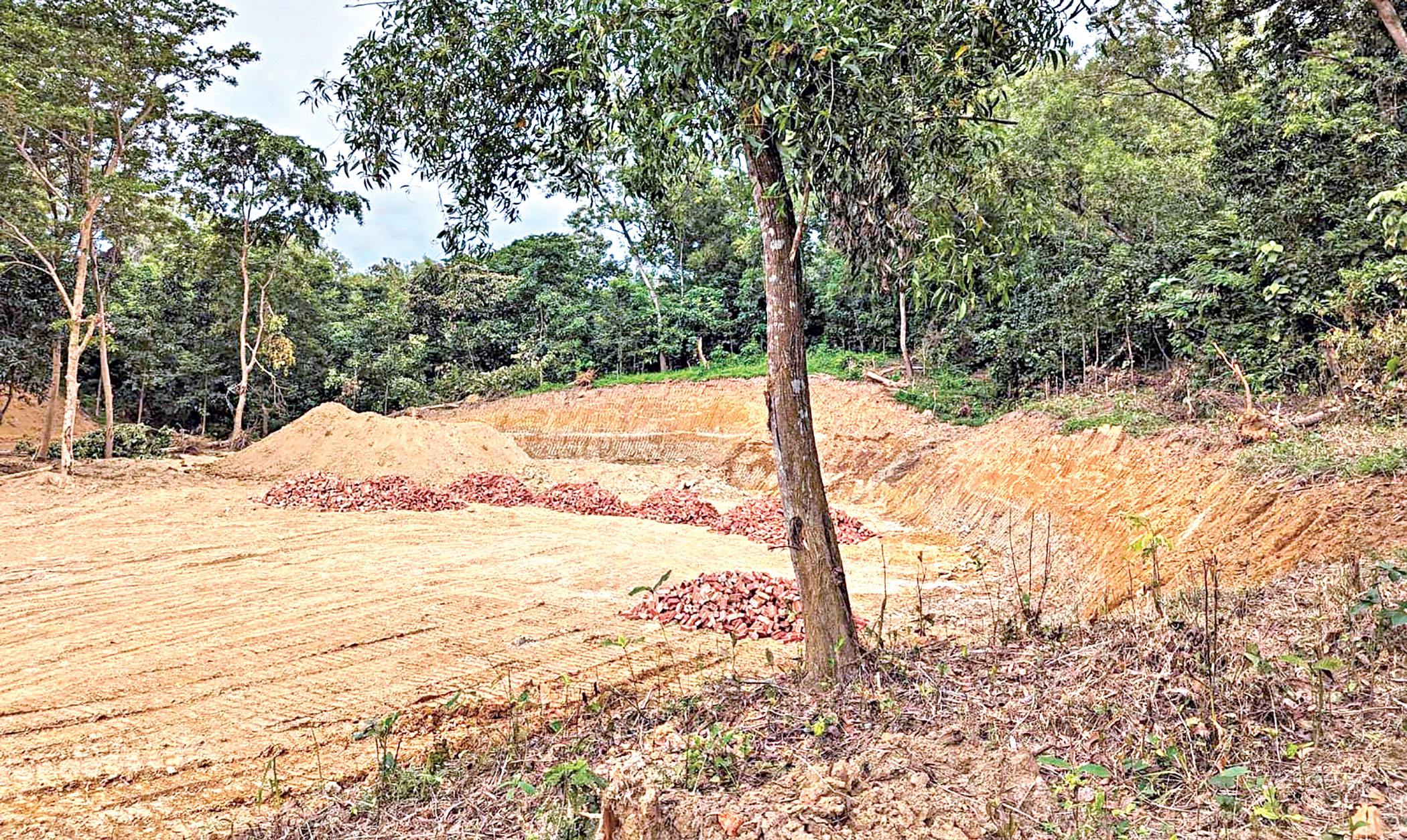 rangunia-2.jpg