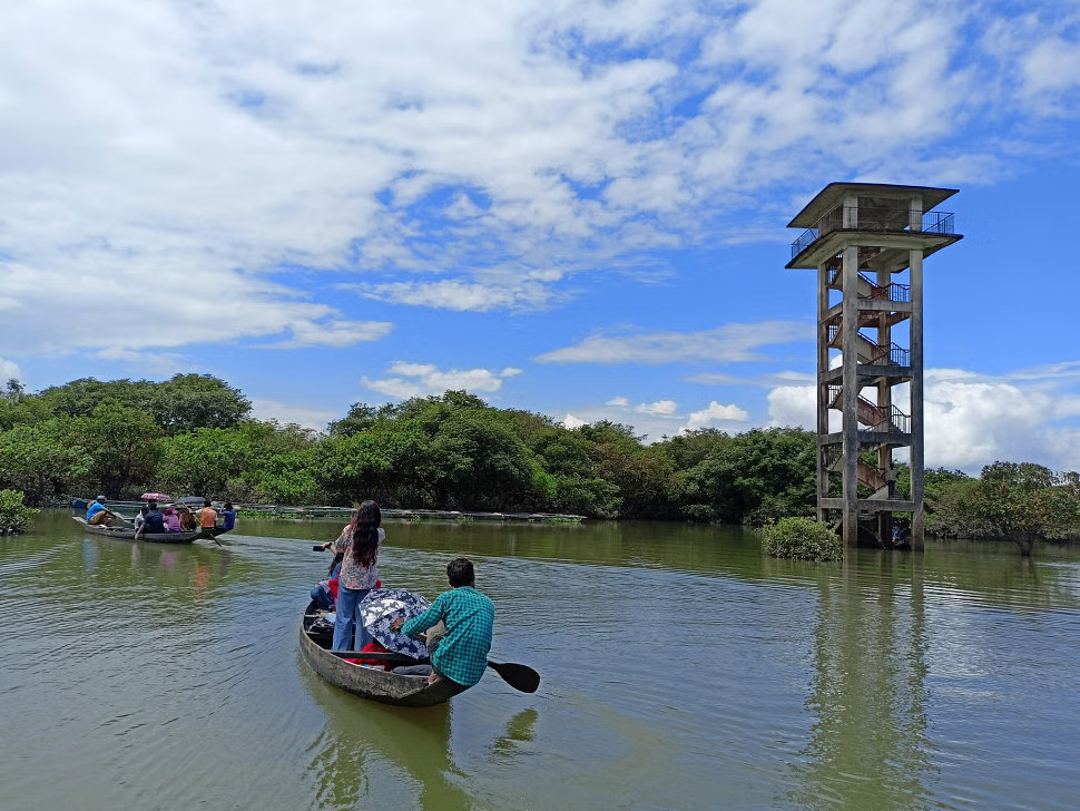 Ratargul Swamp Forest