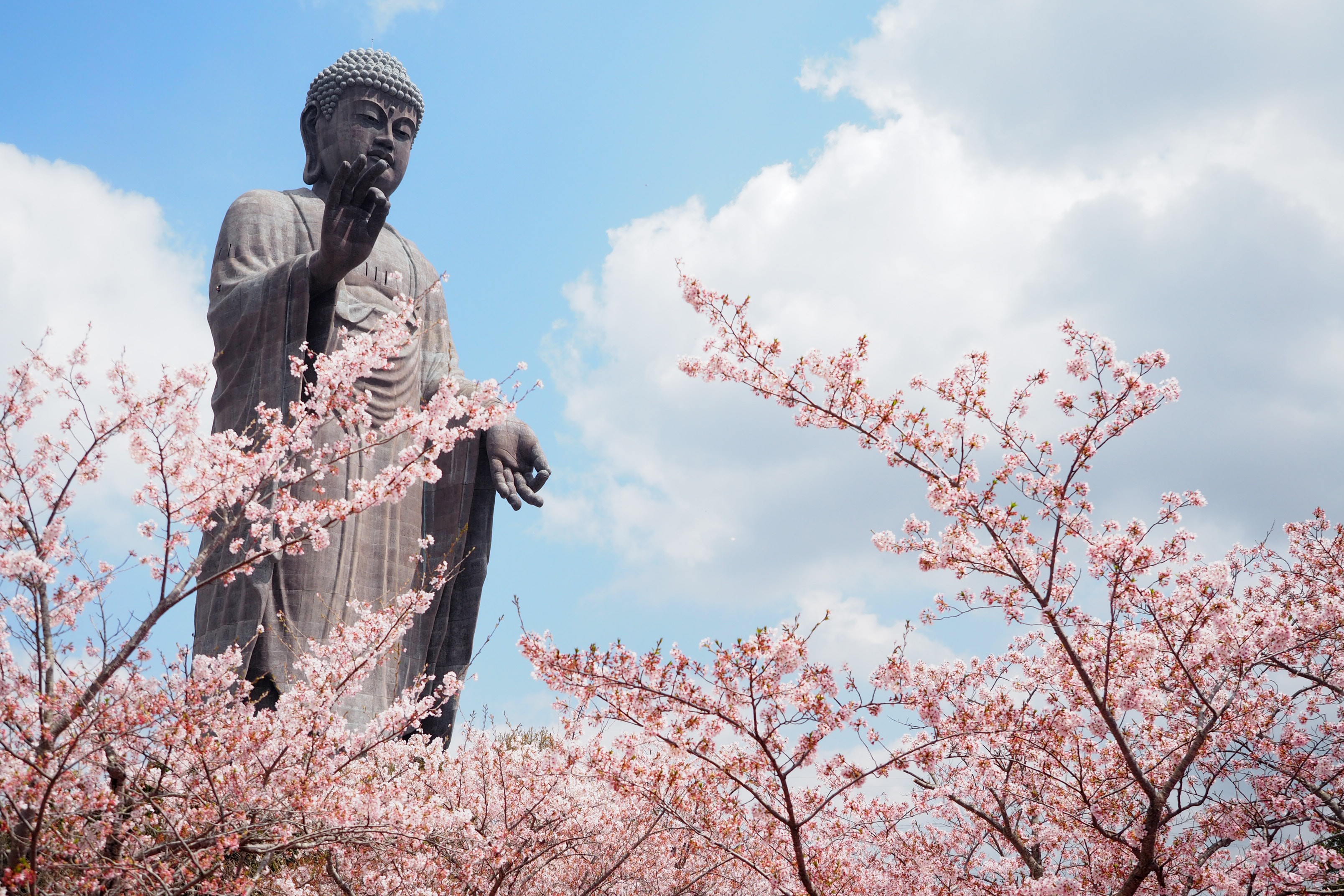JAPAN  shino-dashitmmkss-unsplash.jpg