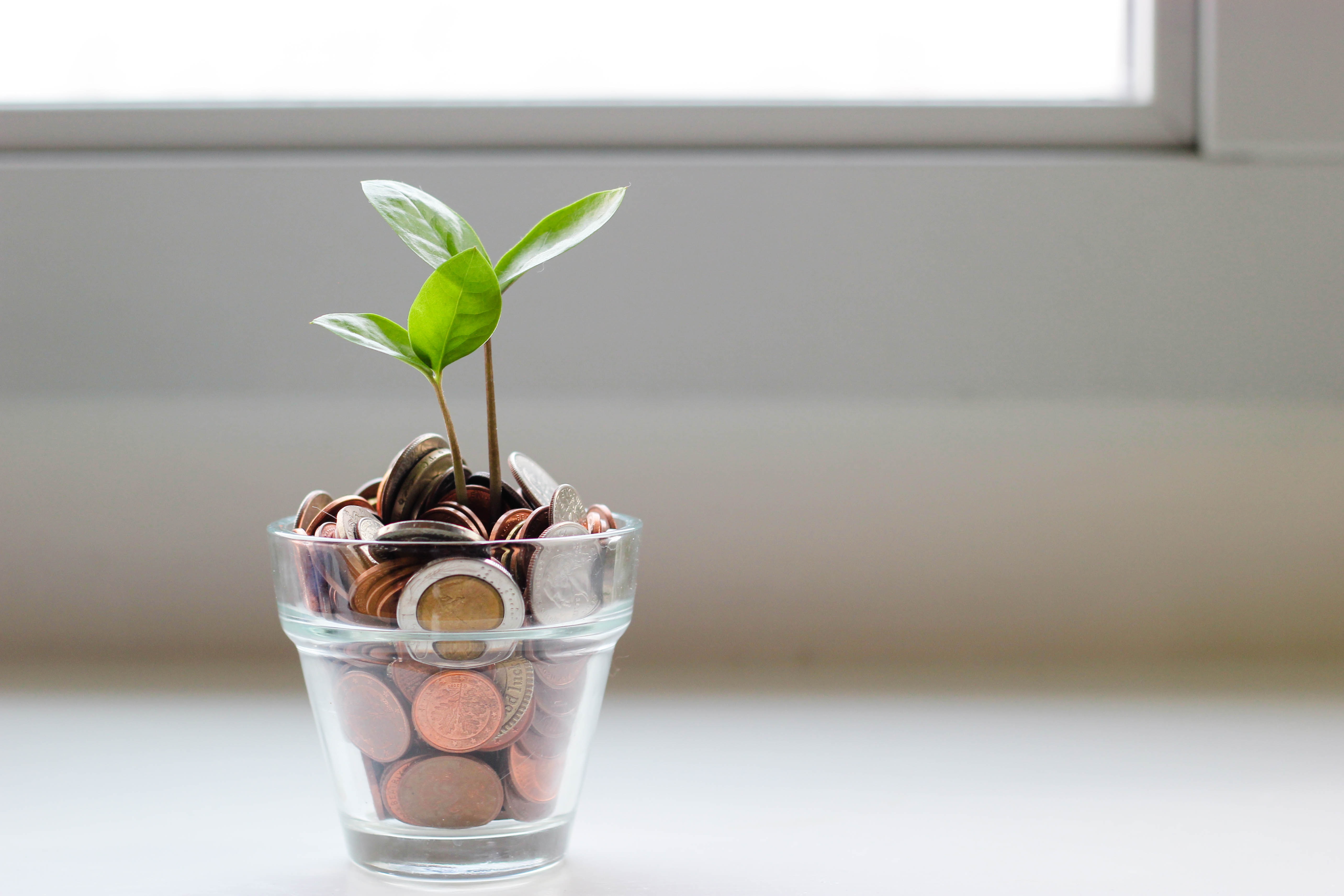money  Gifts beyond blenders: How to gift like a pro this wedding season