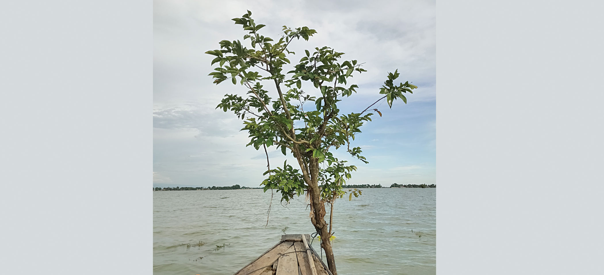 tanguar-haor3.jpg