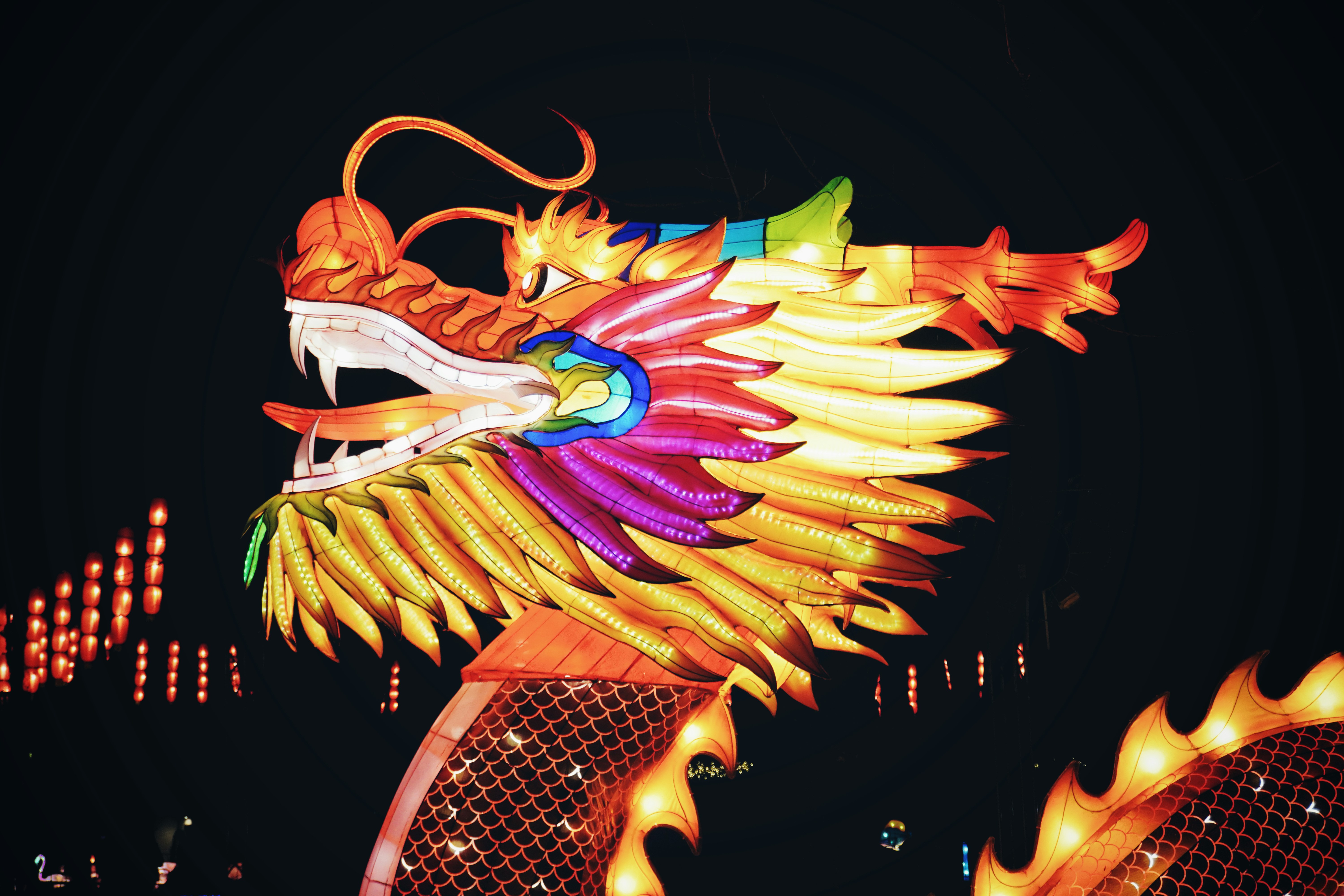 China    5 must-visit destinations for Lunar New Year celebration 