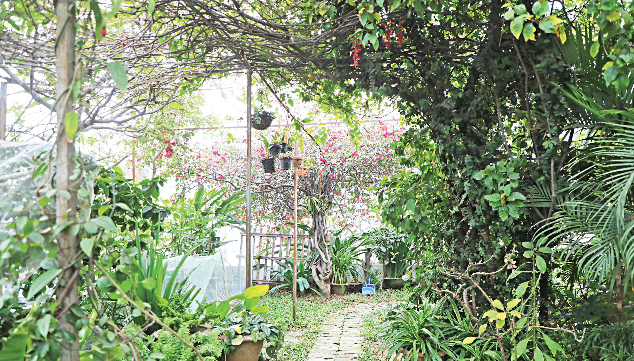 rooftop garden design