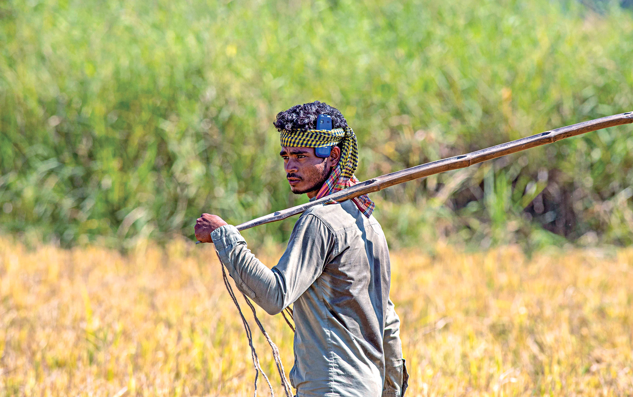 rangunia-upazila-3.jpg