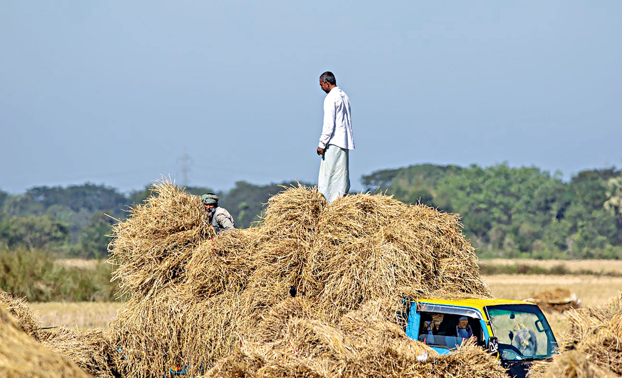 rangunia-upazila-6.jpg