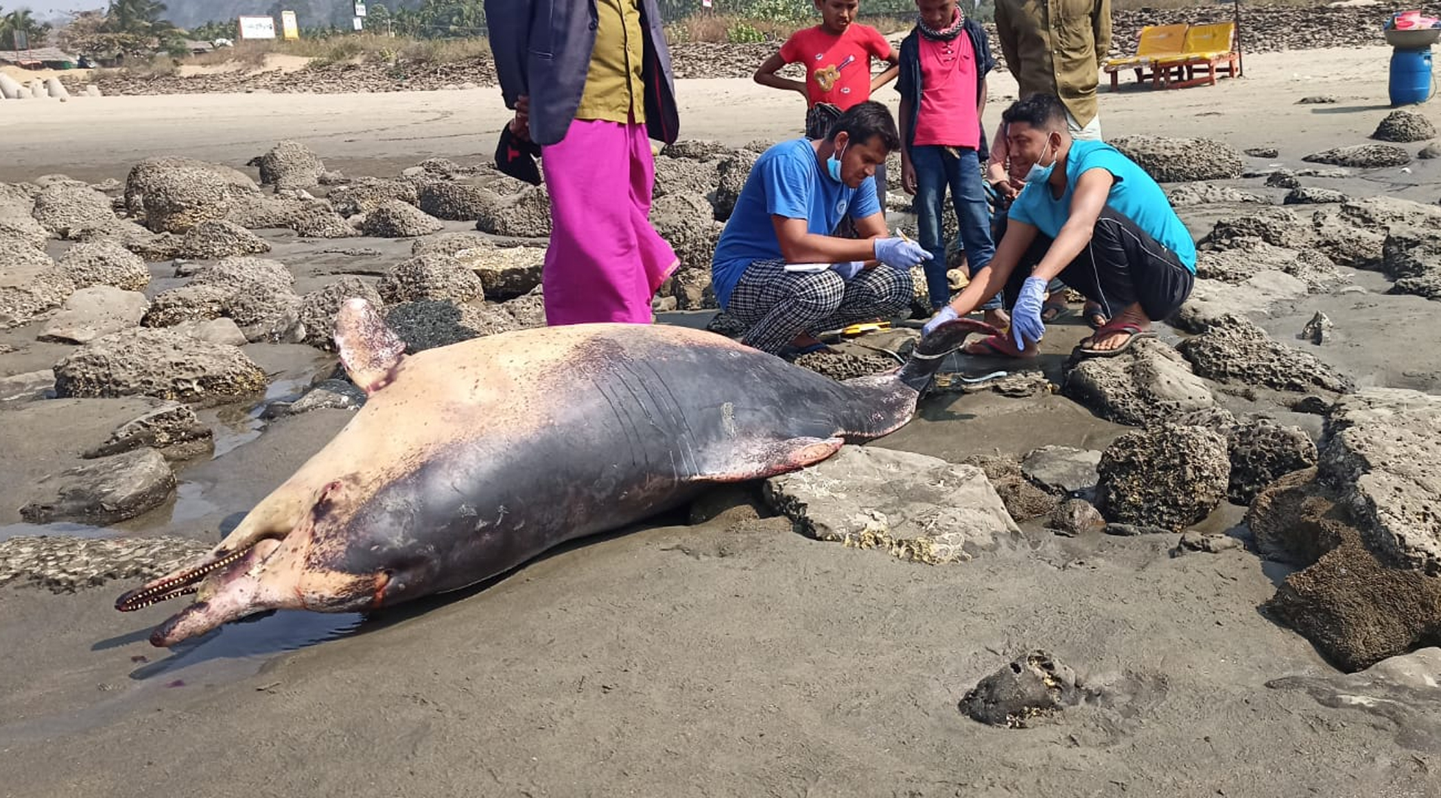 death-zone-for-marine-life-2.jpg