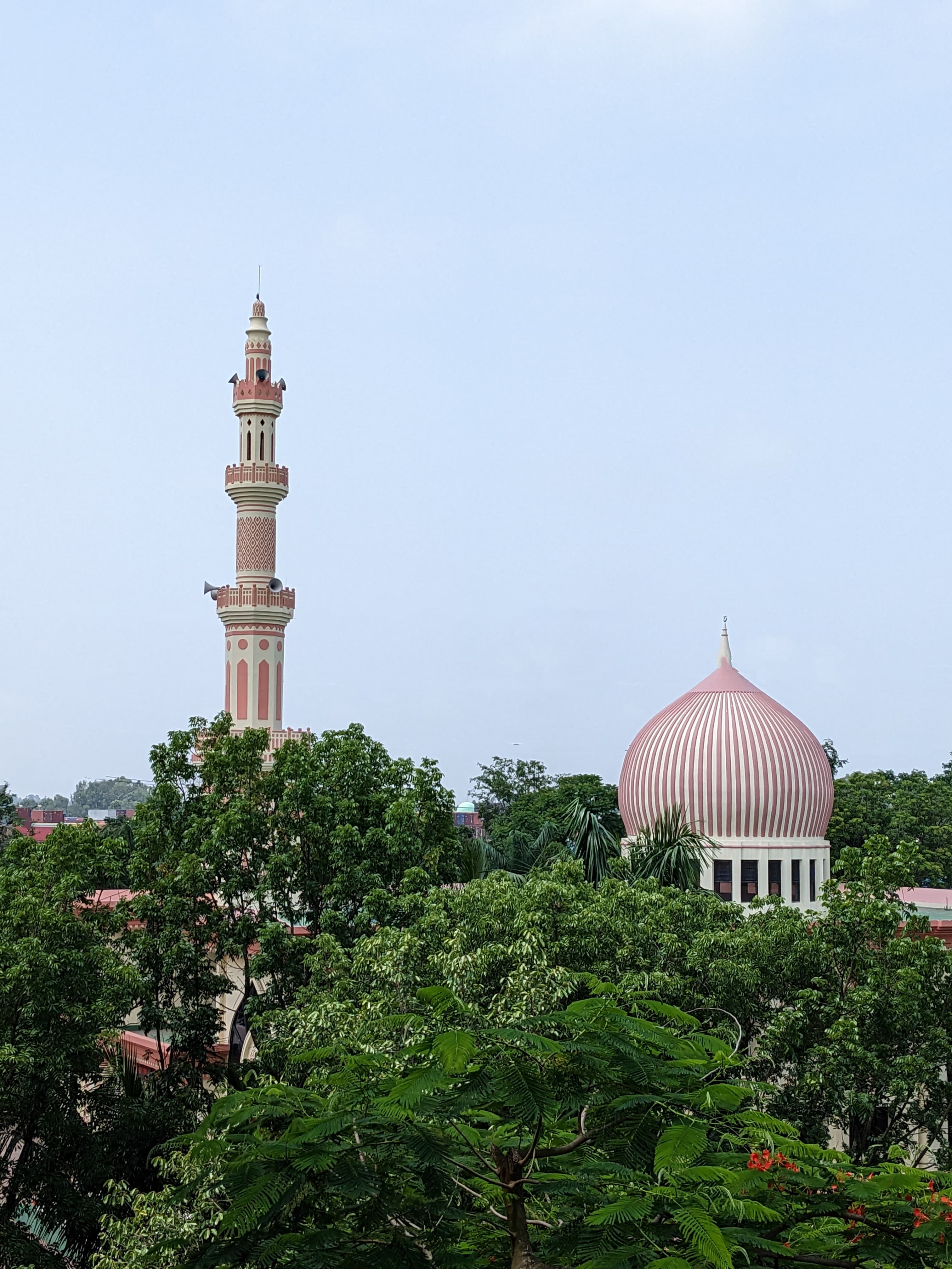 muhammad_tanvir_hossain_ayon_4.jpg