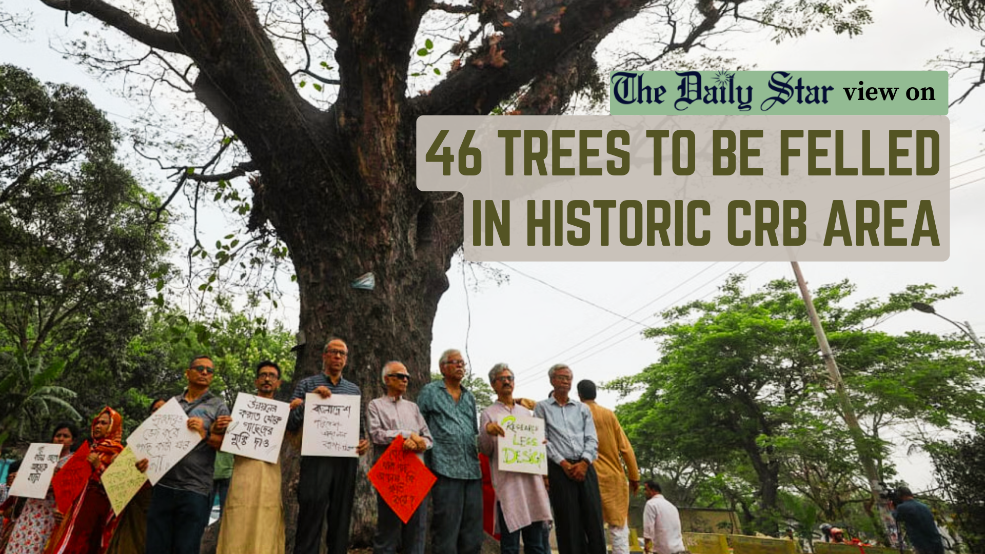No Country for Old Trees 