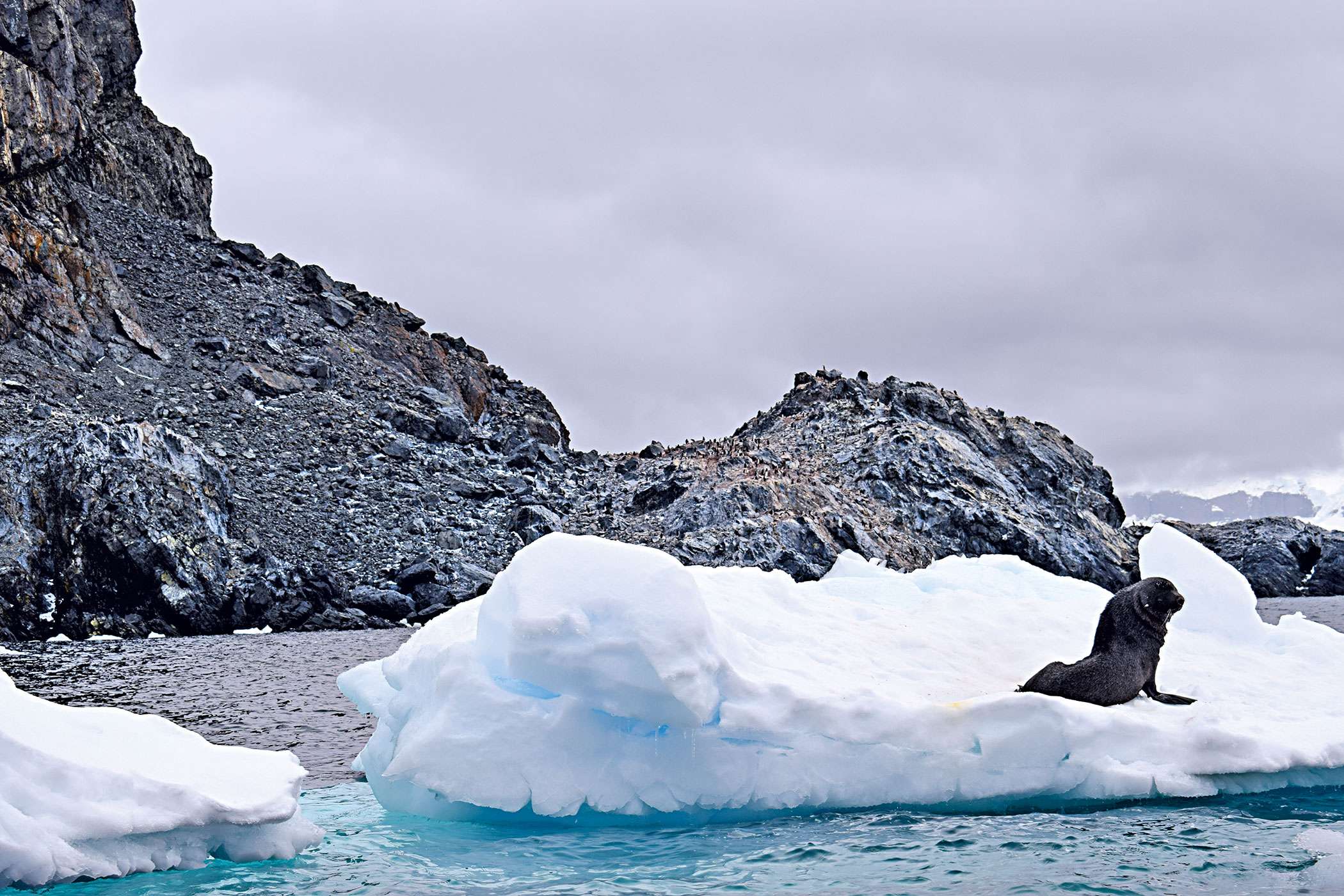 antartica3.jpg