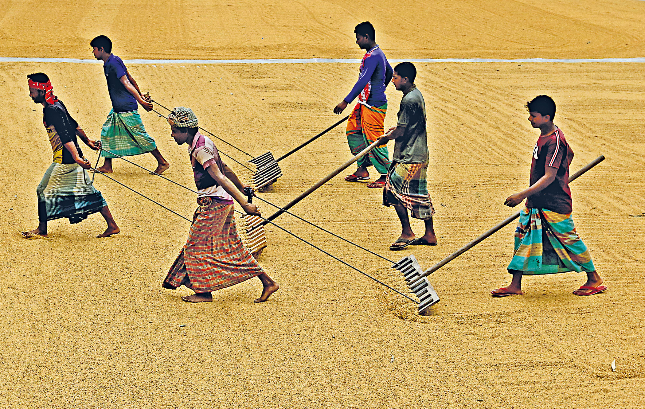 cultivating-prosperity-1.jpg