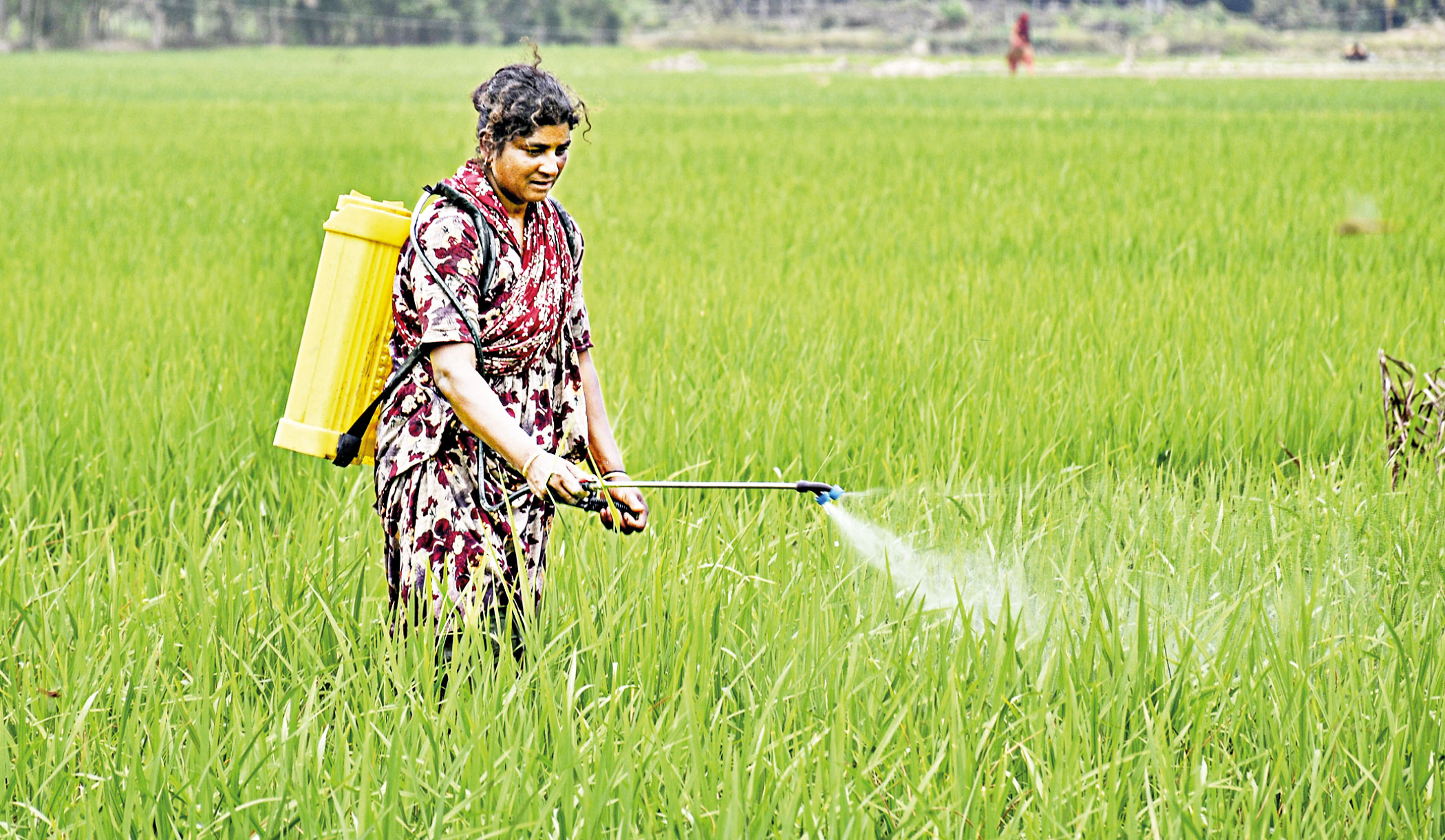 farmers-2.jpg