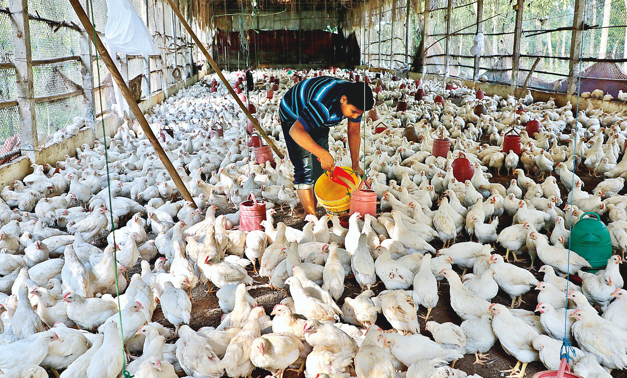 farmers-to-finance-2.jpg