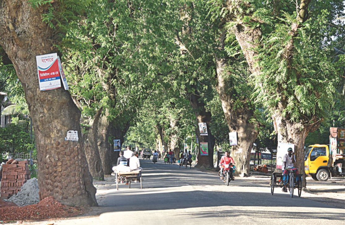 Why settle for a Jashore without trees?