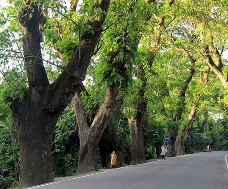 Jashore Road 2024