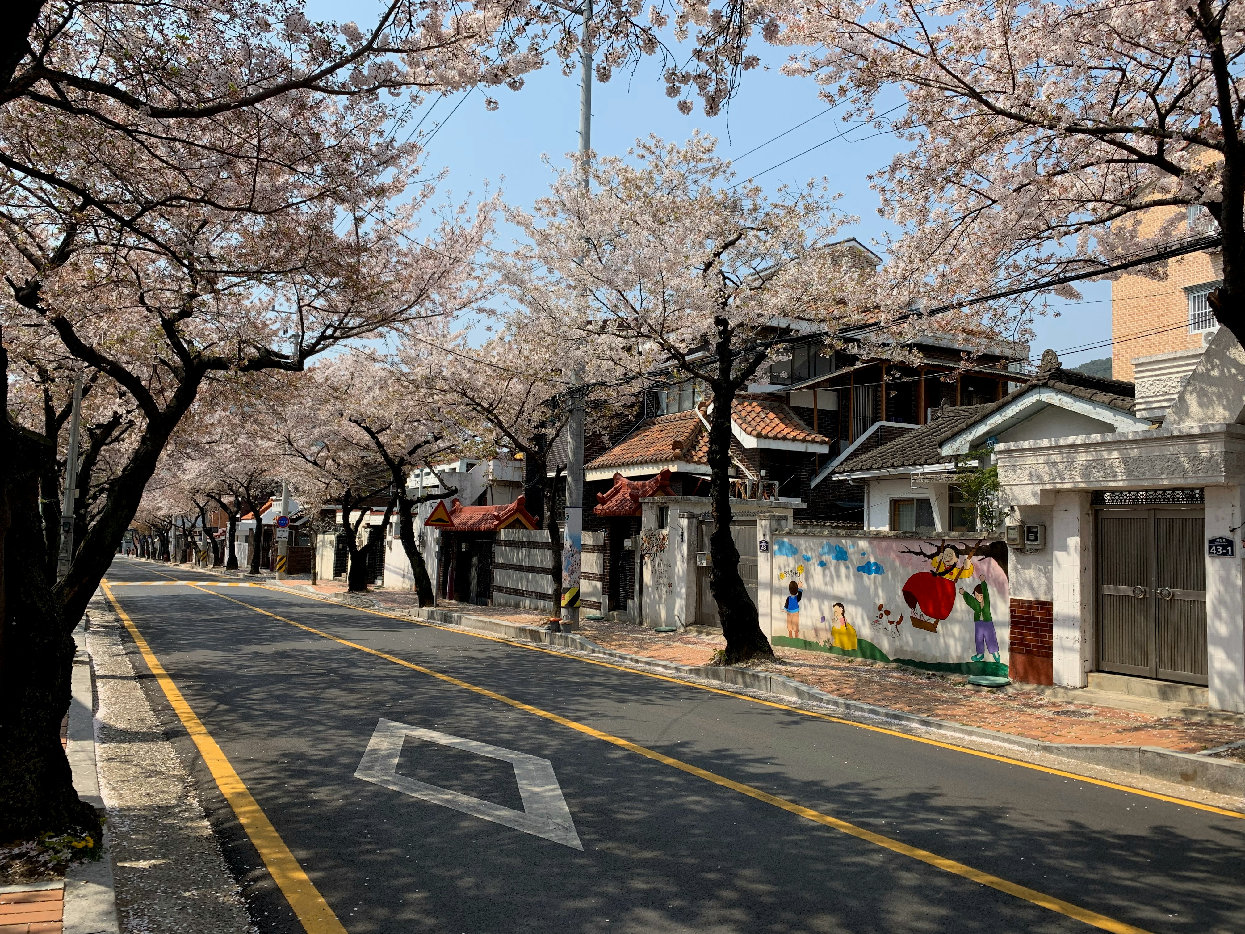 South Korea     10 photogenic places to visit in Asia to blow up your Instagram