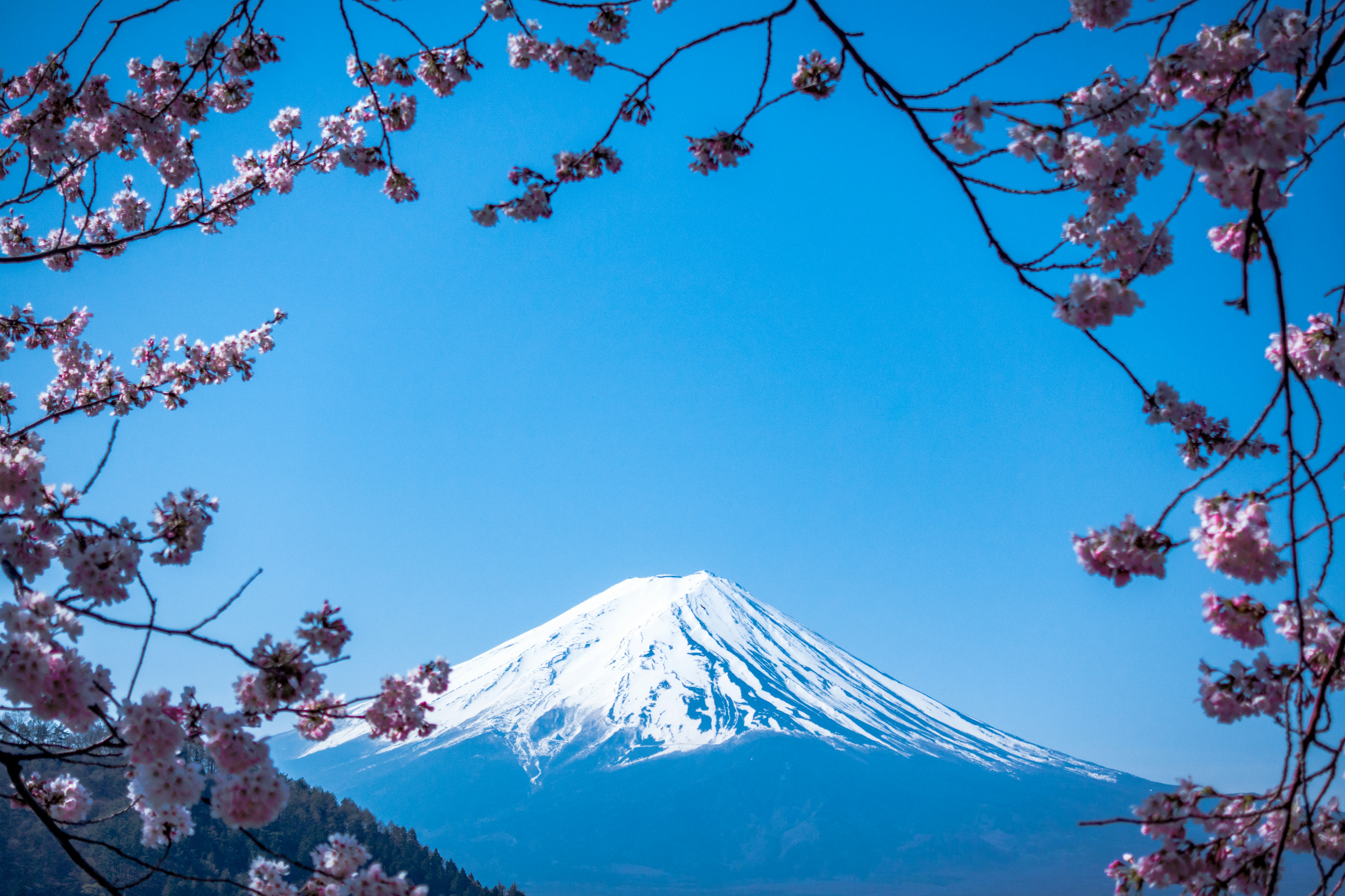 Japan    10 photogenic places to visit in Asia to blow up your Instagram
