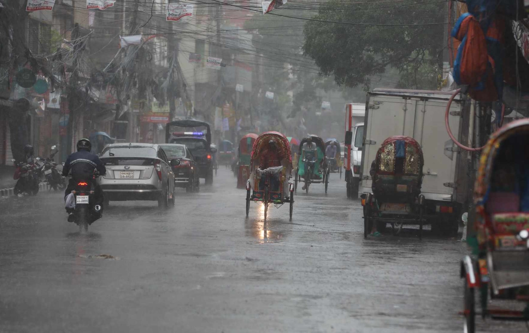 rain_rain.jpg