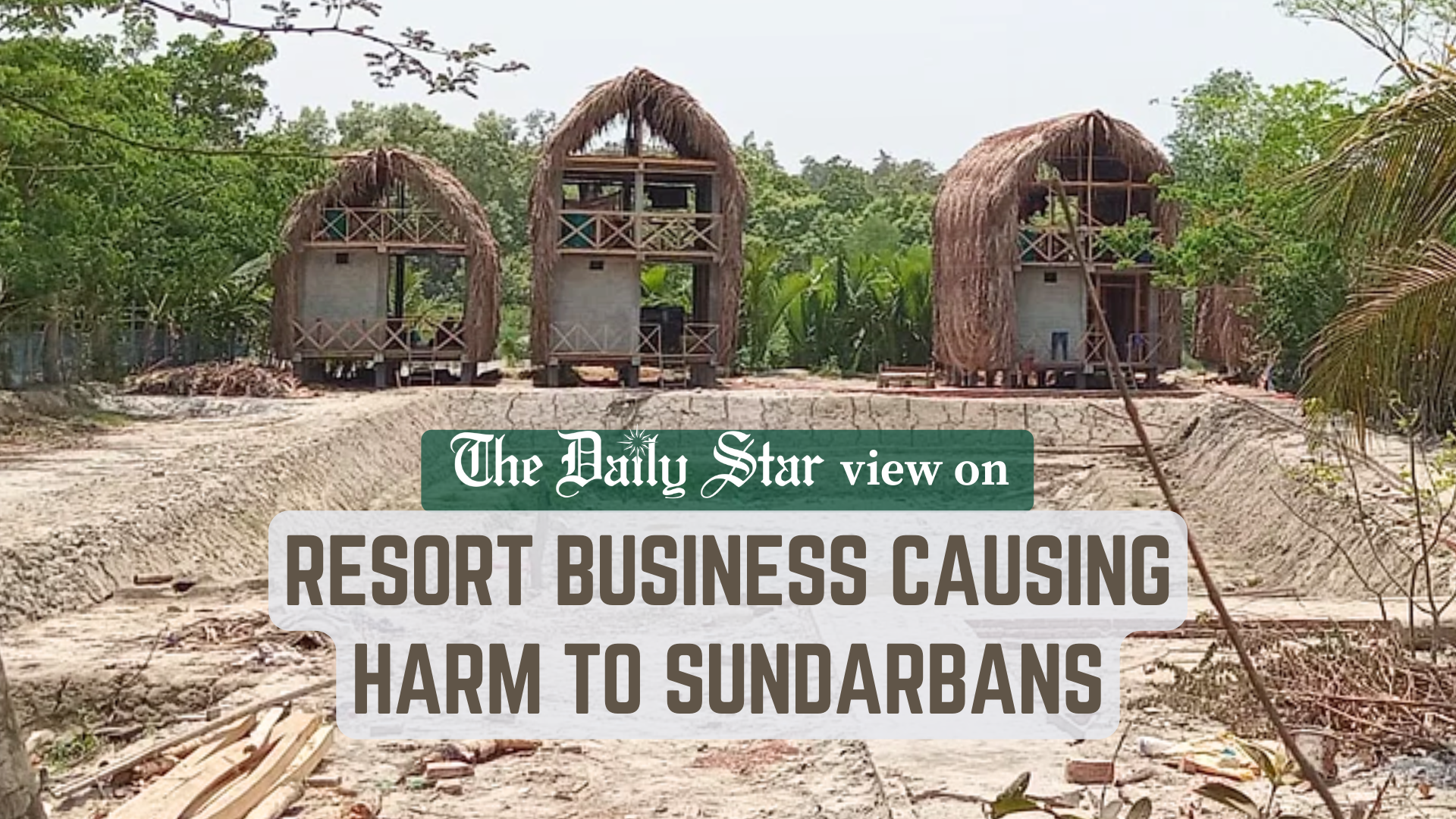 Sundarbans must be left alone to recover
