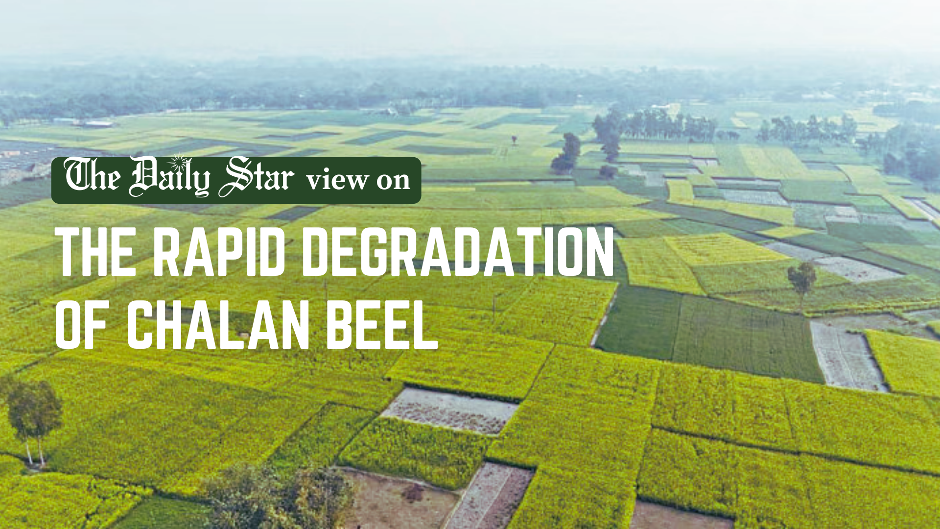 Chalan beel is fast degrading to a tipping point