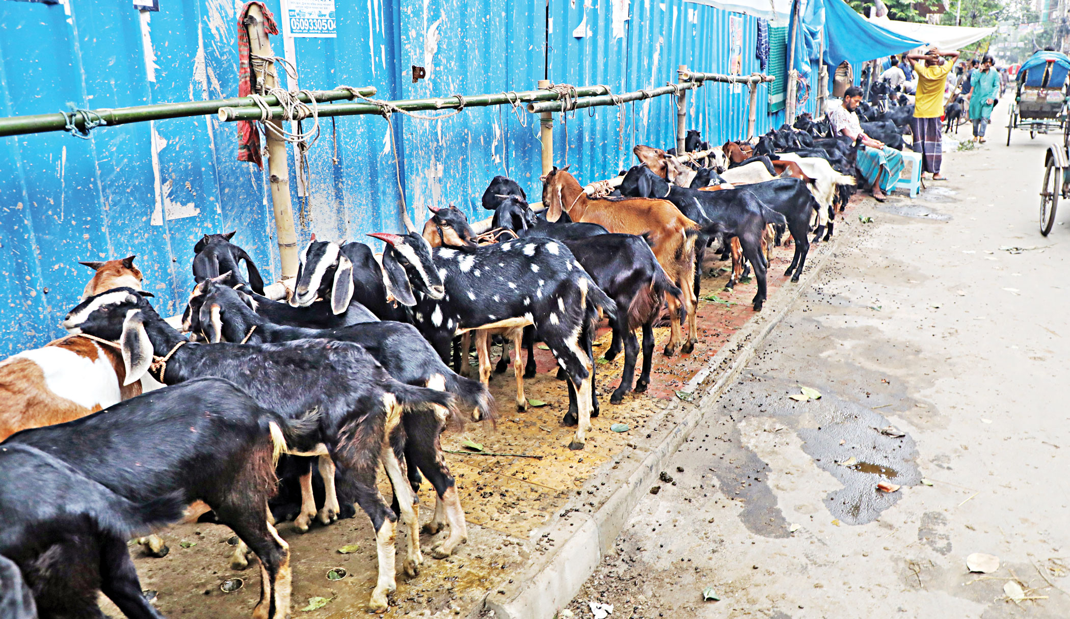 Civic duties during Eid-ul-Azha