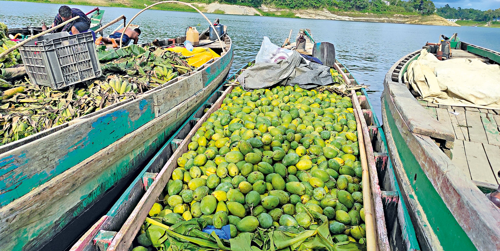 lichi1.jpg