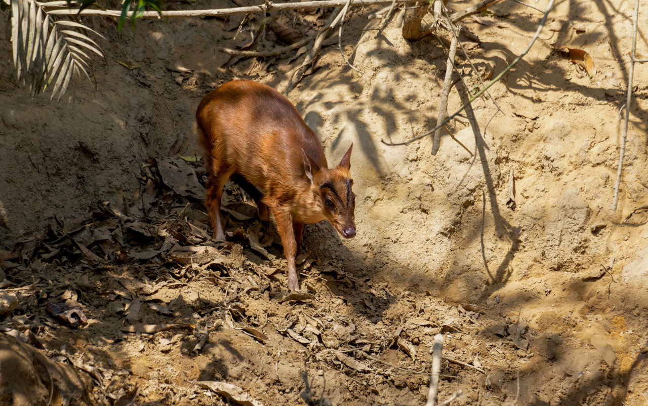 nature_quest-timu_hossain_04_1.jpeg
